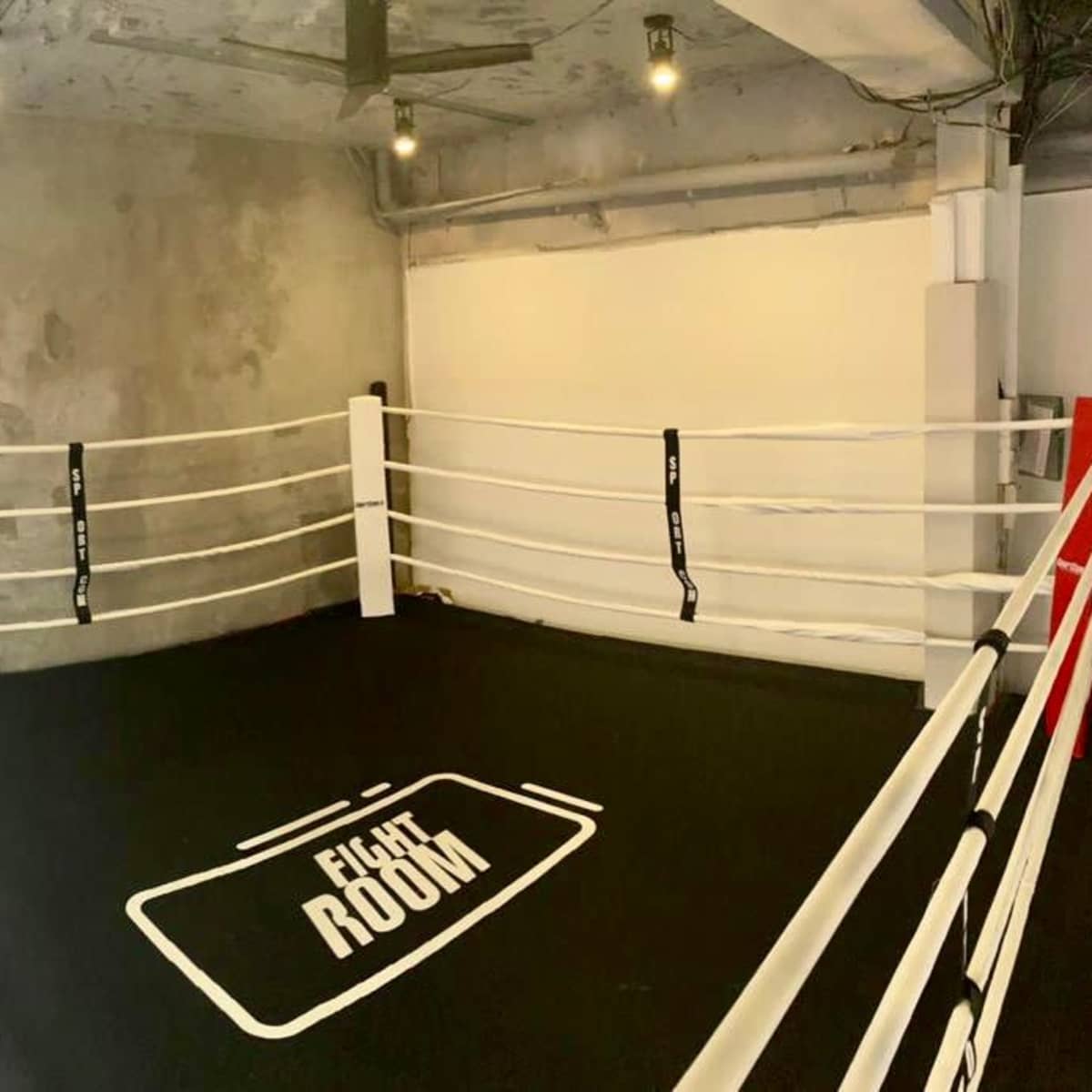 A boxing ring with white ropes and a black mat labeled "FIGHT ROOM" inside a minimally furnished space.