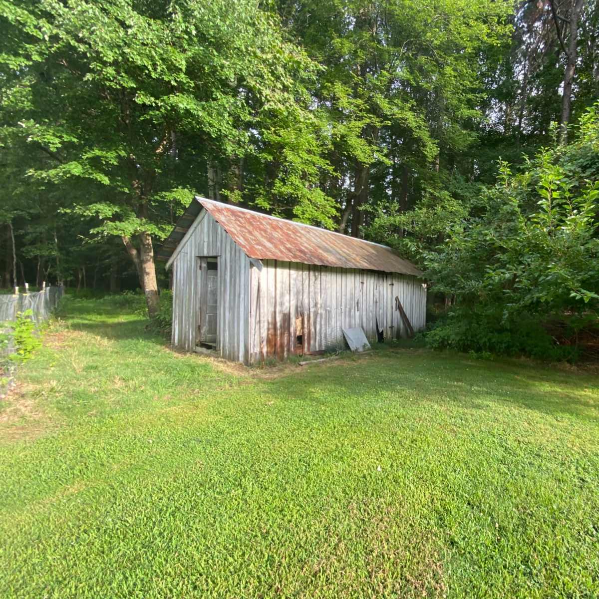 A rustic, weathered shed surrounded by greenery in a wooded area.