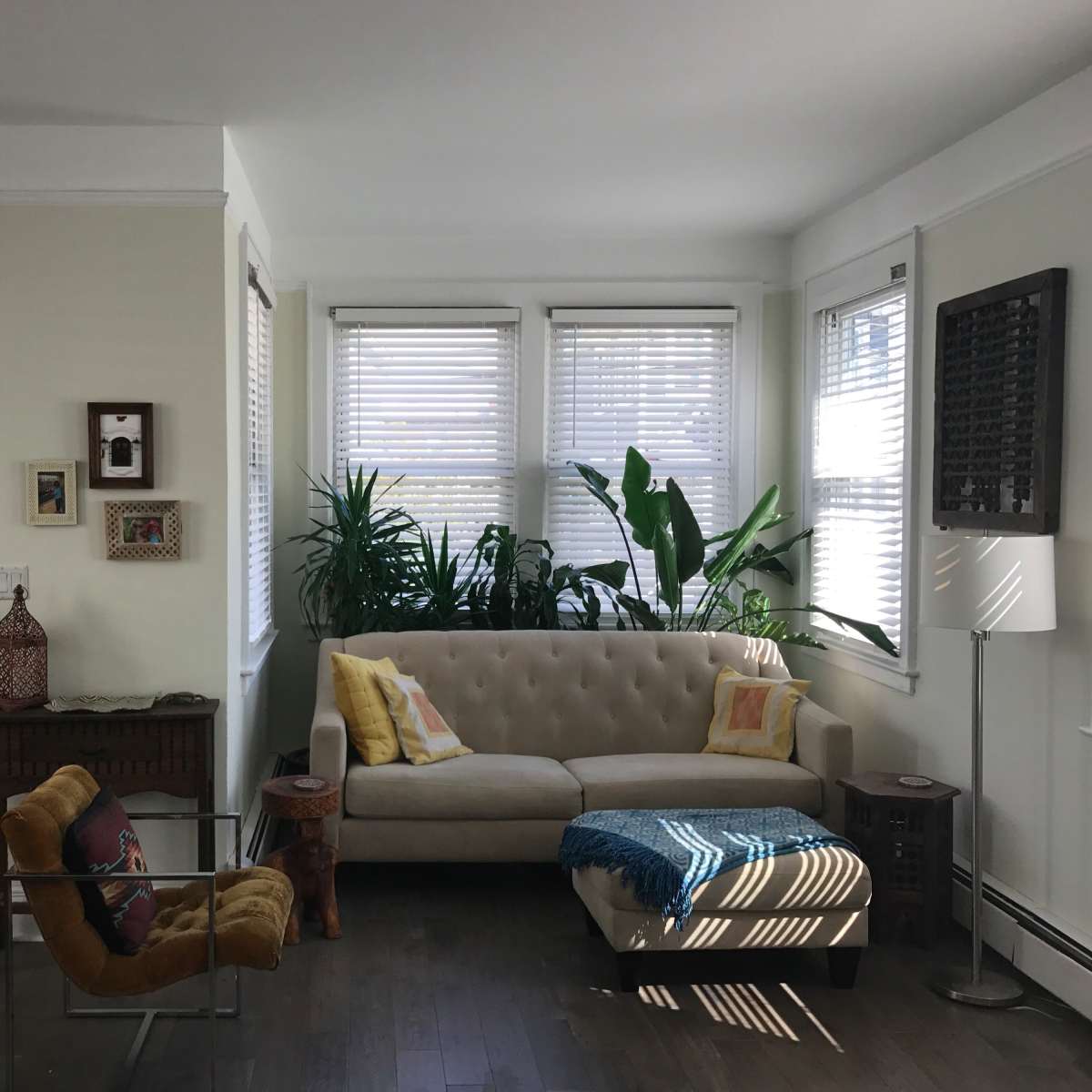 A well-lit living room with a sofa, armchair, and several houseplants, featuring a yellow door and large windows with blinds.