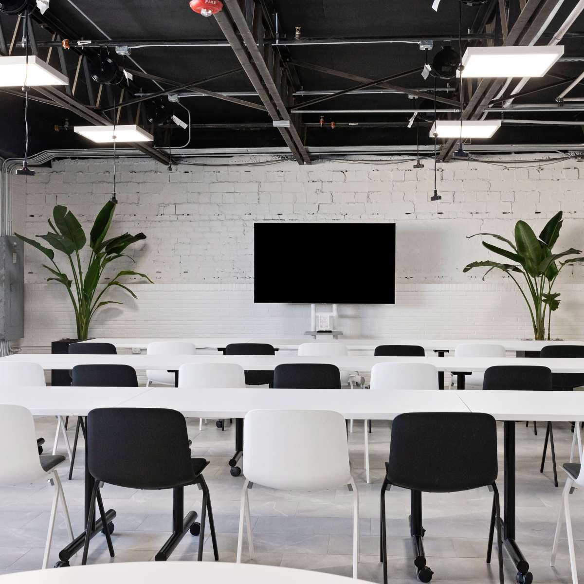 A modern conference room features rows of white and black chairs facing a large screen on a white wall, with potted plants in the corners.