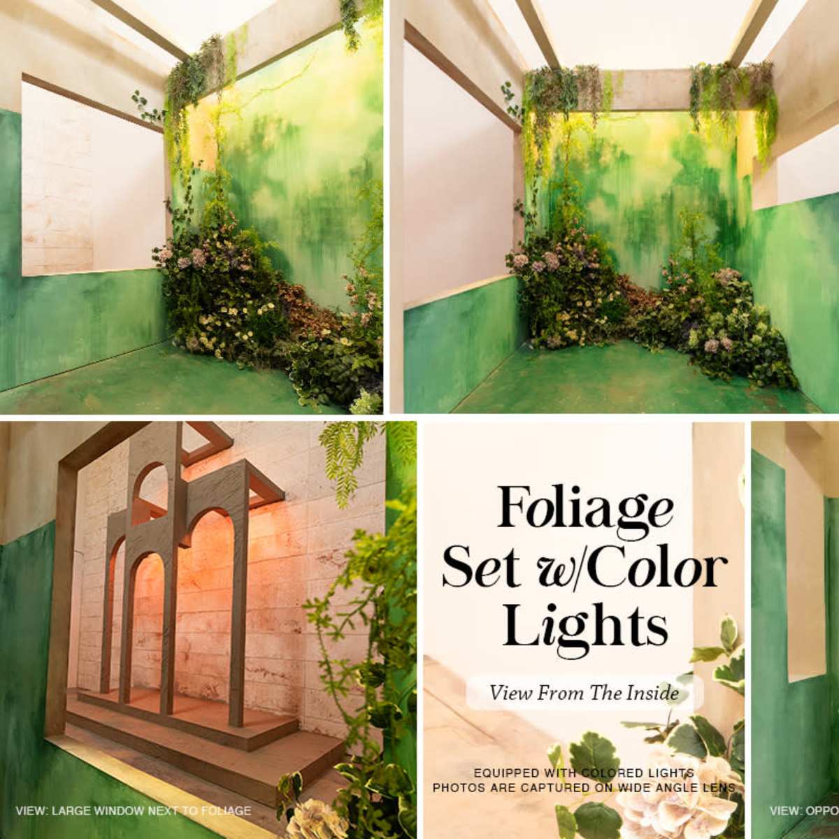 Image Studio Lab and Darkroom | Scenic Stage *Multi-Set* Spring Foliage ...