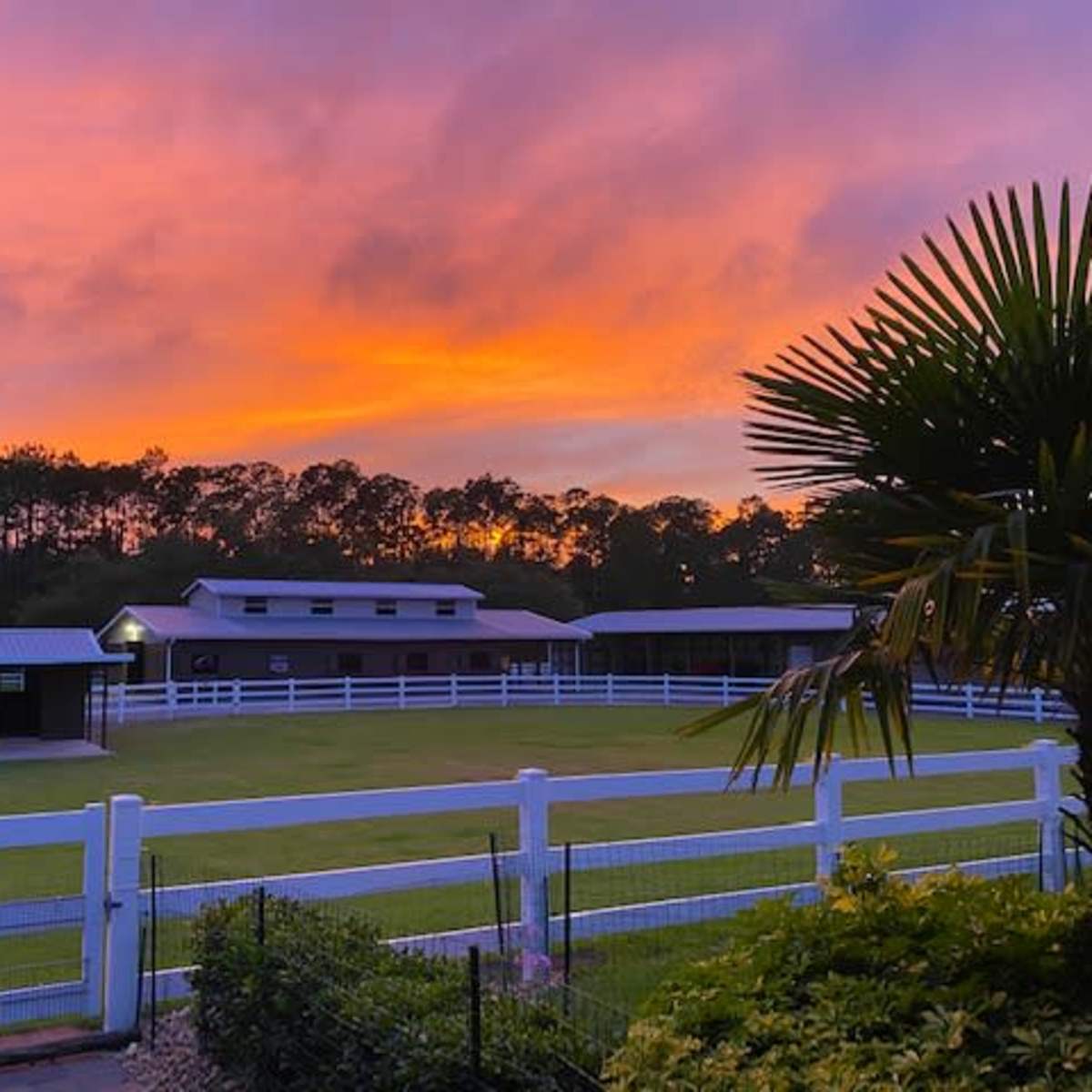 Angel's Animal Sanctuary in New Smyrna Beach Image in Spring Forest, New Smyrna Beach, FL