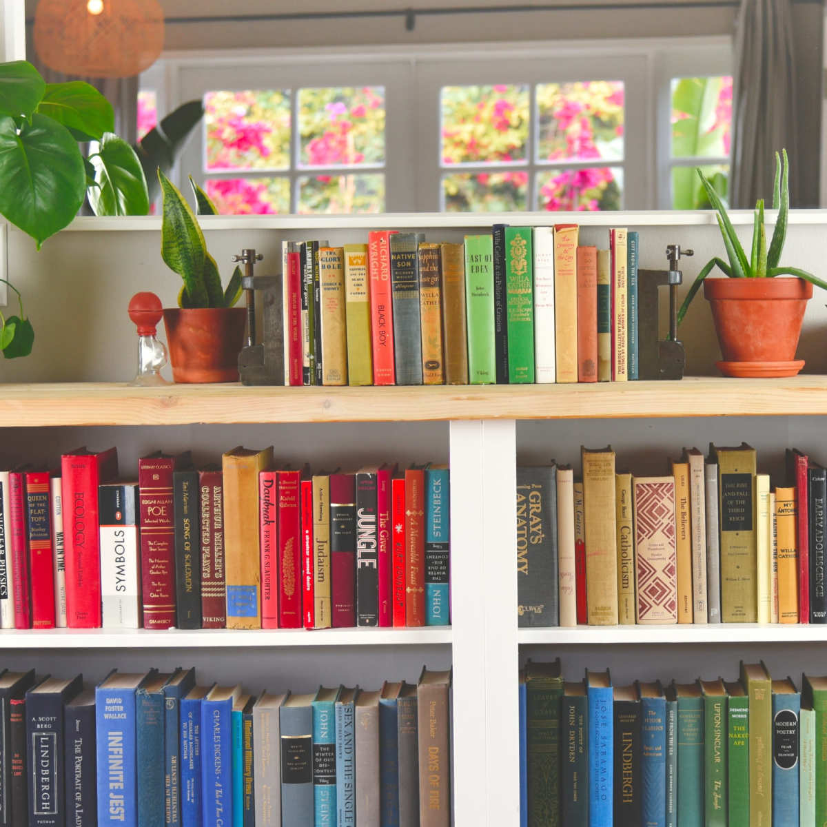 A wooden shelf holds a collection of neatly arranged books in various colors, flanked by potted plants and decorative items, with a mirror reflecting a bright, floral background.