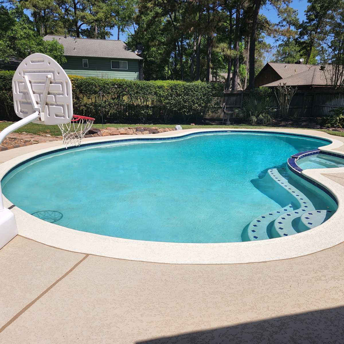 A backyard swimming pool shaped like a kidney, complete with a basketball hoop nearby and surrounded by trees and landscaping.