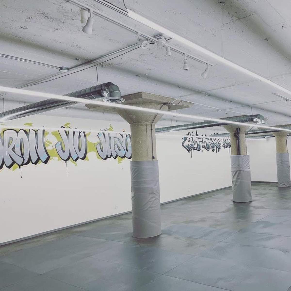 Open 2163 sf/ft of Mat space! Perfect for nerf party’s or dance classes in Chicago Image in South Side, Chicago, IL