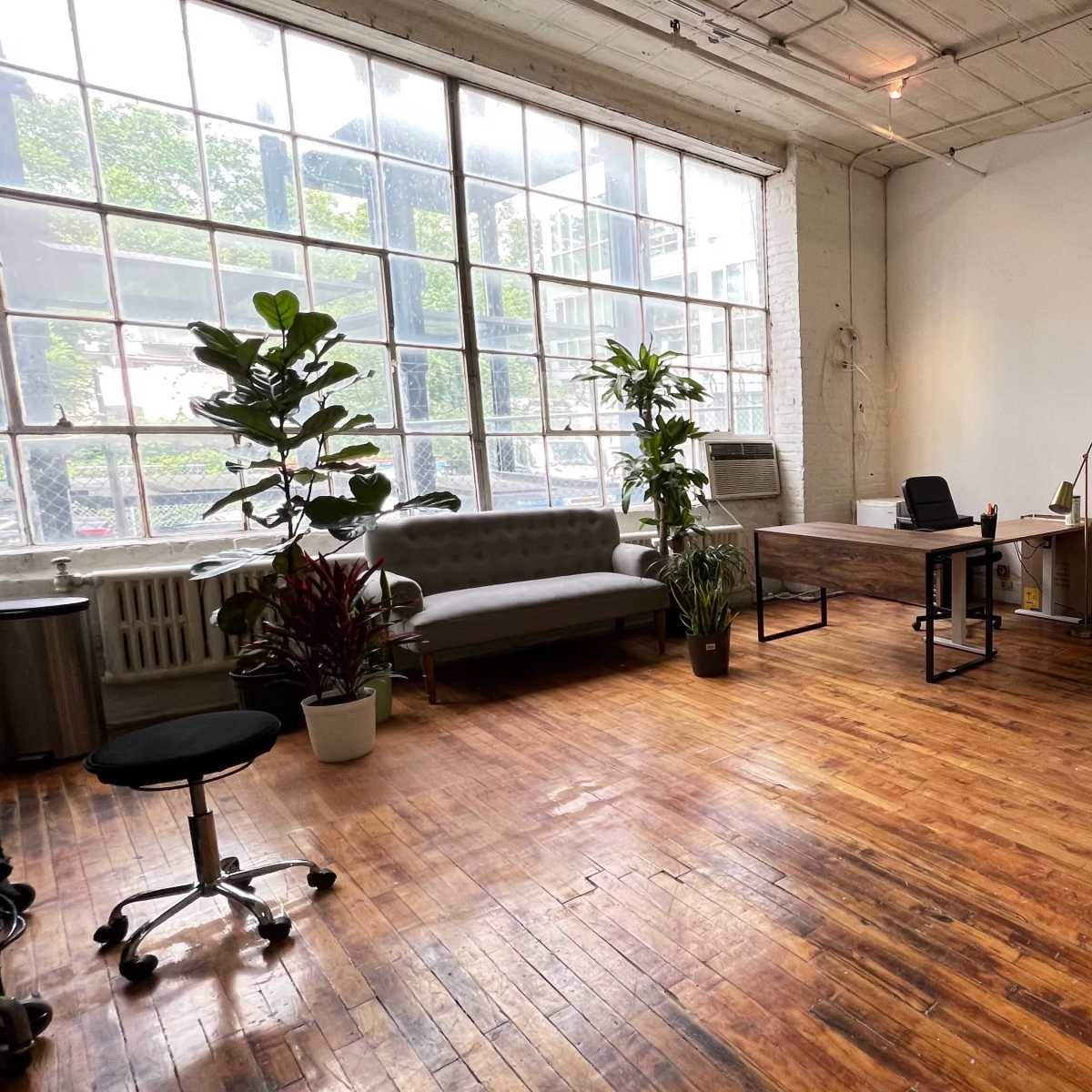 A bright, spacious room with wooden floors, two sofas, a desk with a lamp, and several potted plants near large windows.