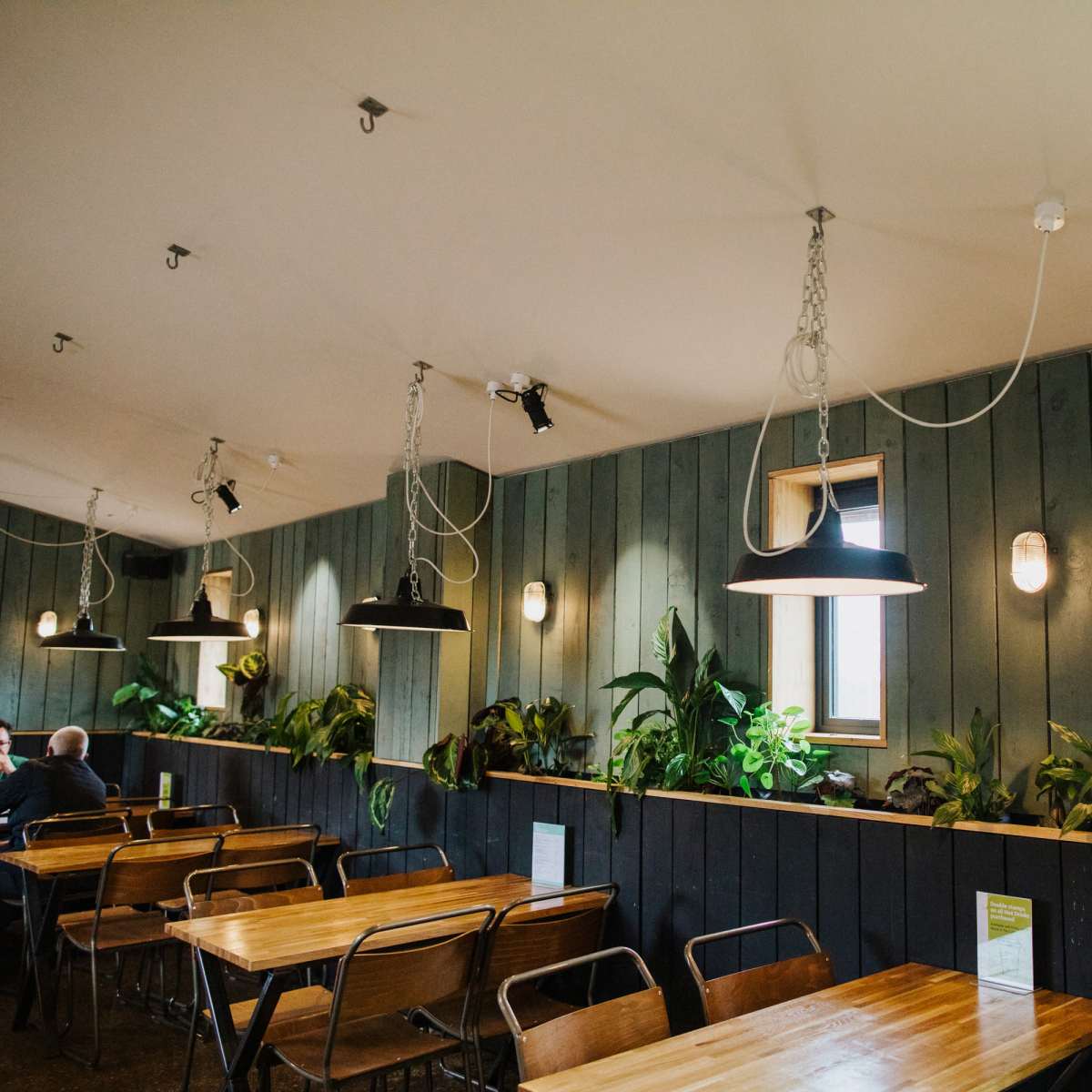 The interior of a cafe features wooden walls, hanging lights, and tables with chairs, alongside plants lining the wall.