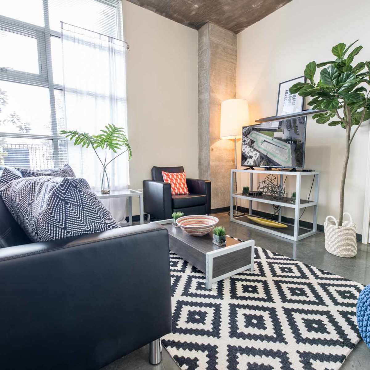 A modern living room featuring a black leather sofa, decorative pillows, a patterned area rug, and a small coffee table, surrounded by plants and a light-colored wall.