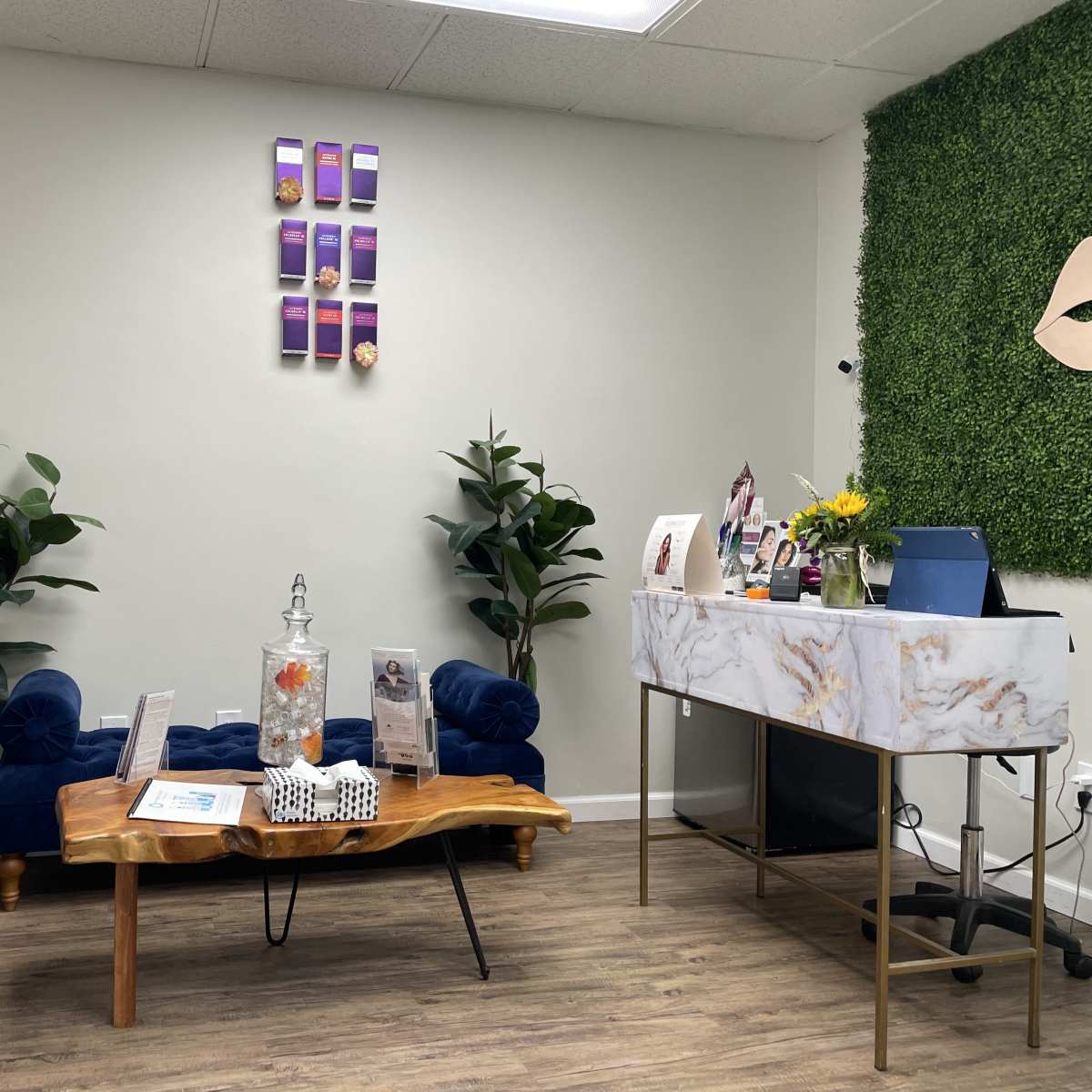 A cozy waiting area with a gray sofa, a blue tufted couch, a wooden coffee table, and a small reception desk decorated with flowers and pamphlets, surrounded by potted plants and a green wall panel.