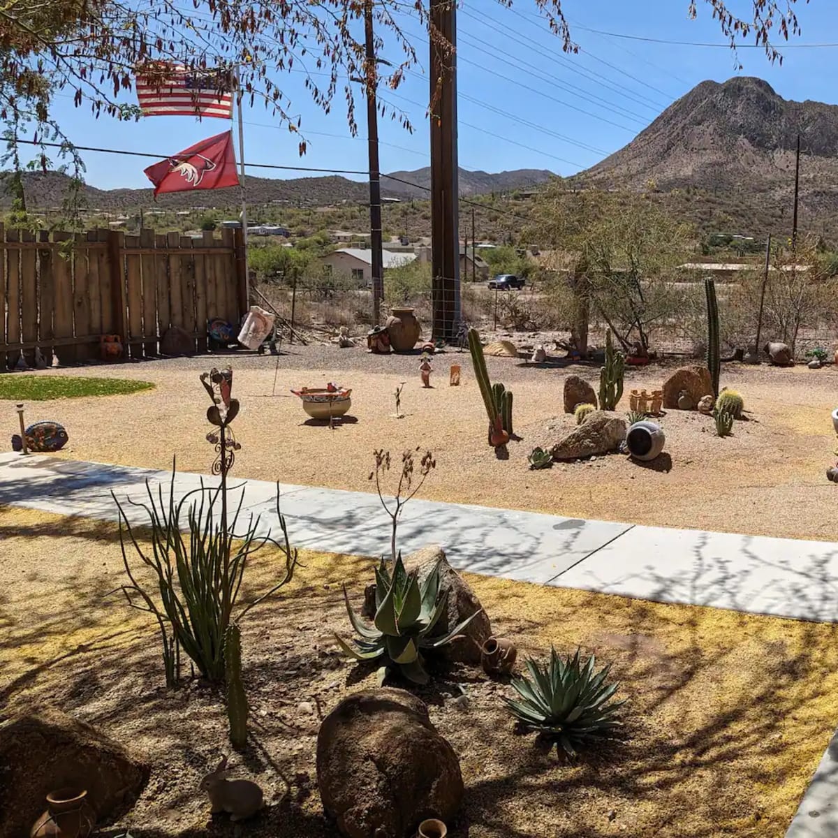 The scene features a desert landscape with various cacti and decorative pottery, overlooked by a mountain in the background and an American flag waving nearby.