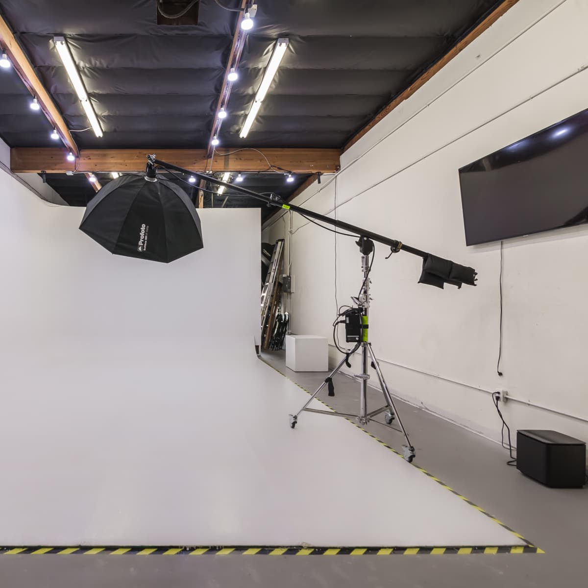 A photography studio with a large white backdrop, lighting equipment on a stand, and a potted plant in the foreground.