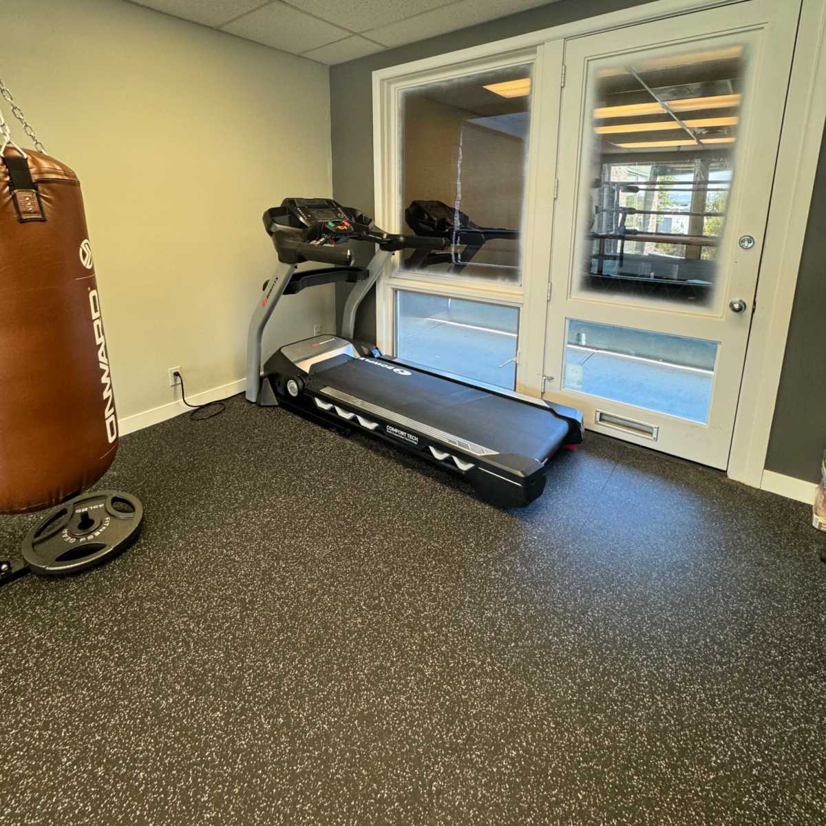 A workout room featuring a treadmill, a punching bag, and large glass doors leading outside.