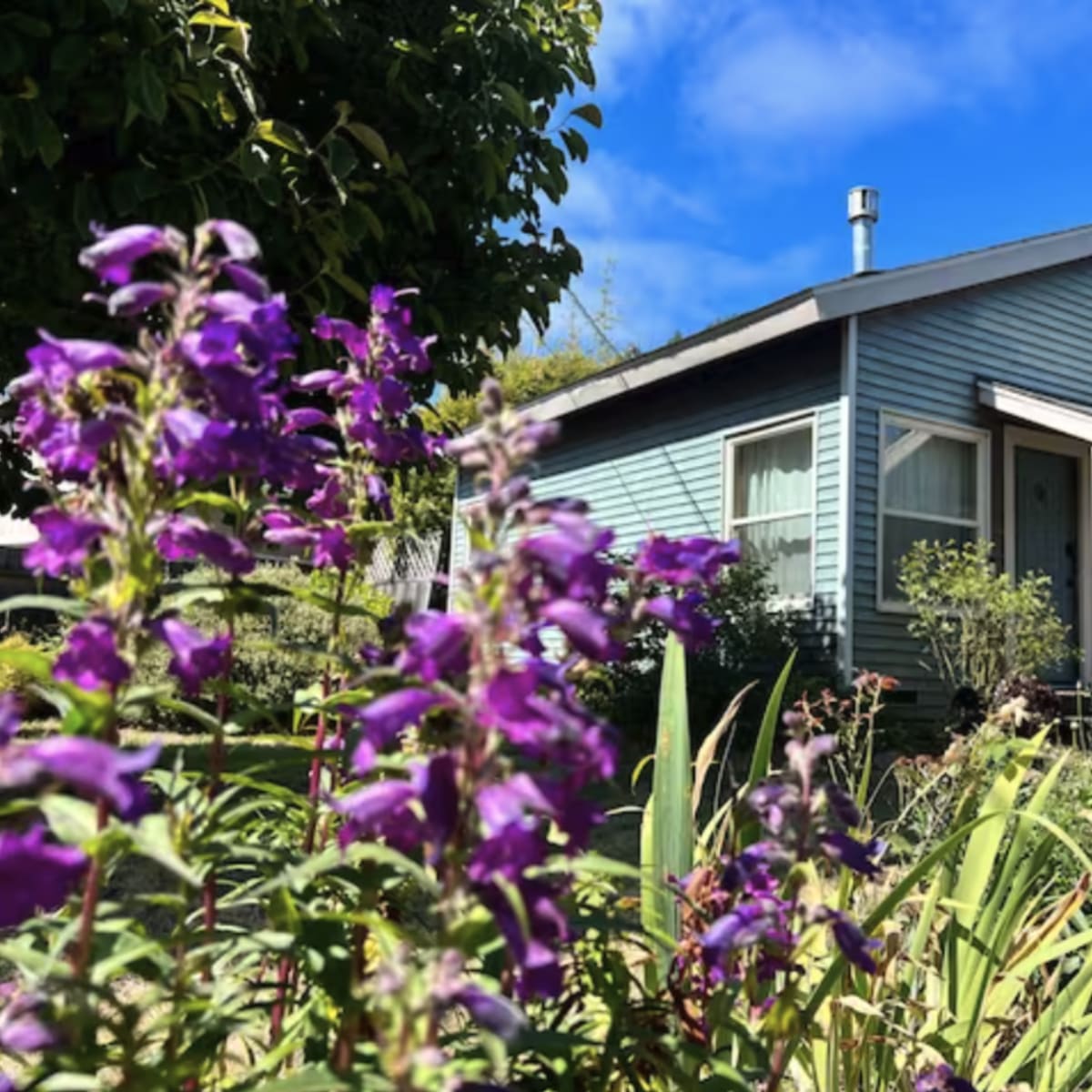 A light blue house with a sloped roof is surrounded by flowering plants and greenery under a blue sky.