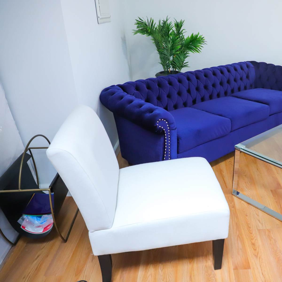 A room with a deep blue tufted sofa, a glass coffee table, a white chair, and a green plant in the background.