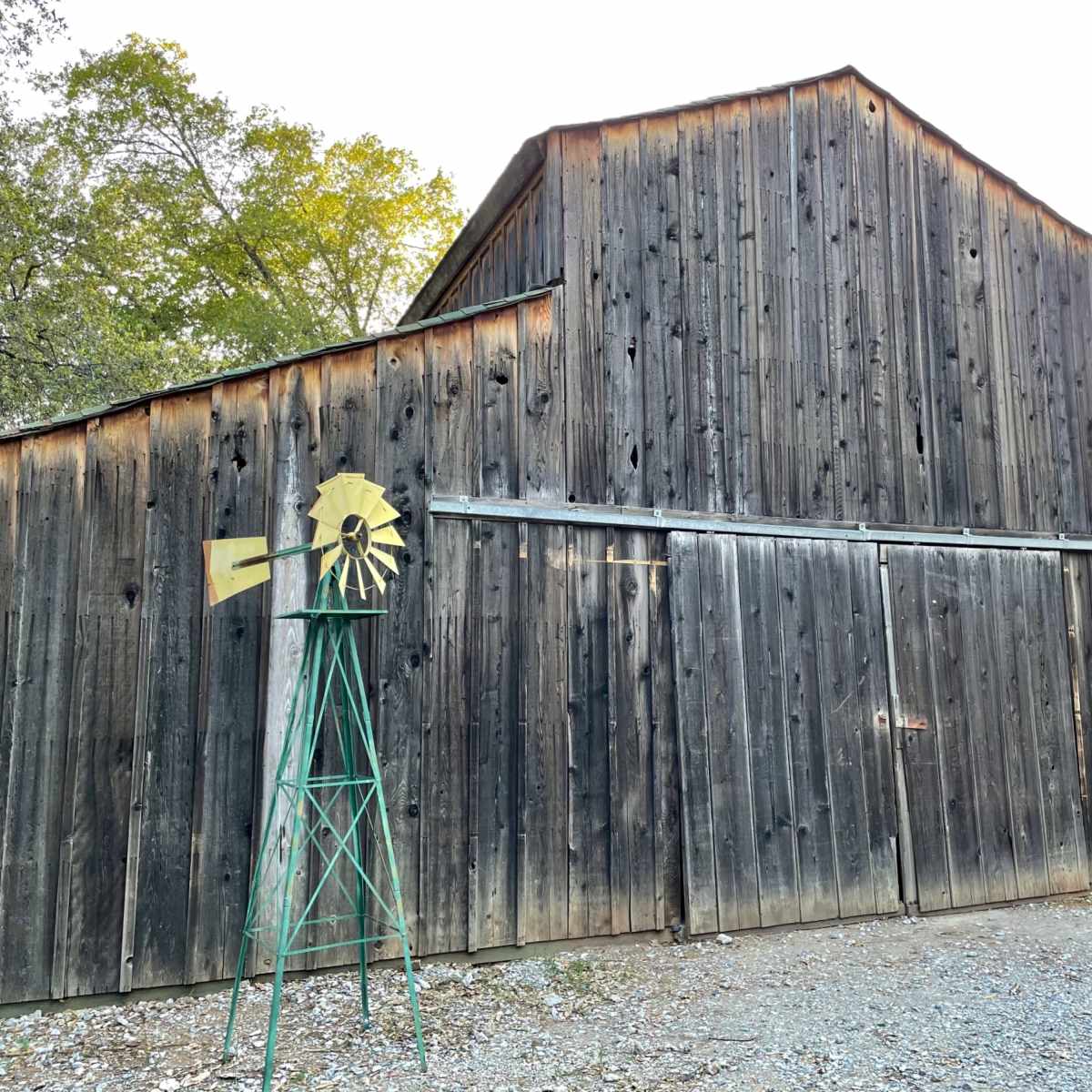 A weathered wooden barn stands next to a green windmill in a rural setting.