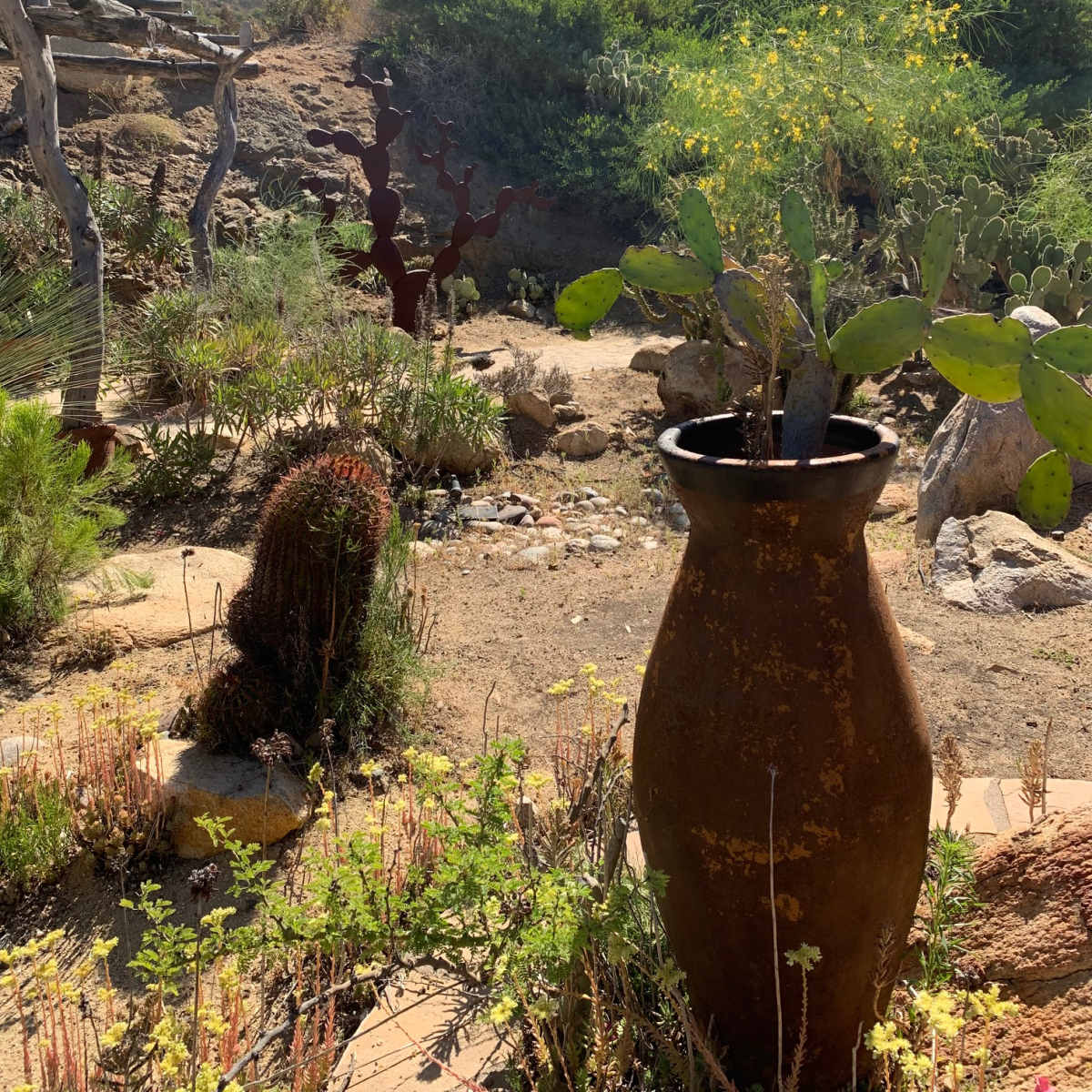 The scene features a rustic garden with a large clay pot containing a cactus, surrounded by various plants and hills in the background.