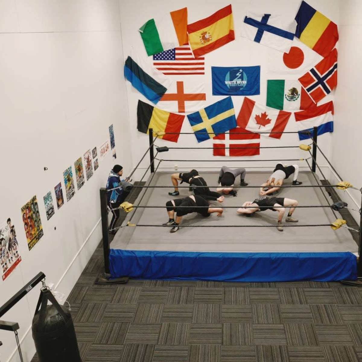 Wrestling gym cheap