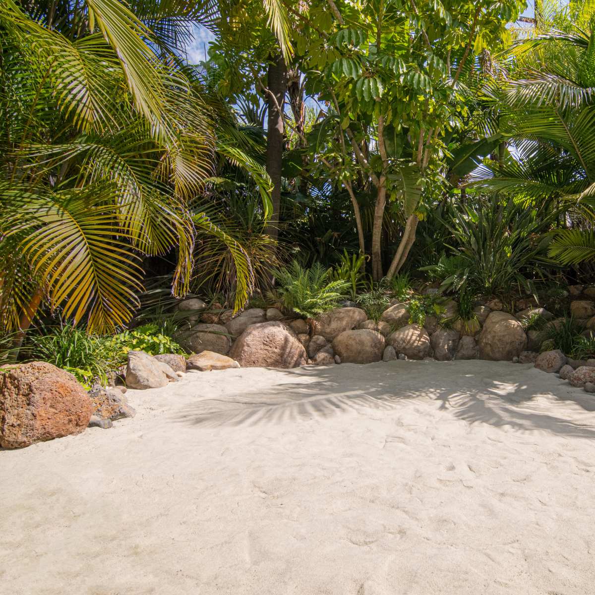 A sandy area surrounded by lush green plants and large rocks.