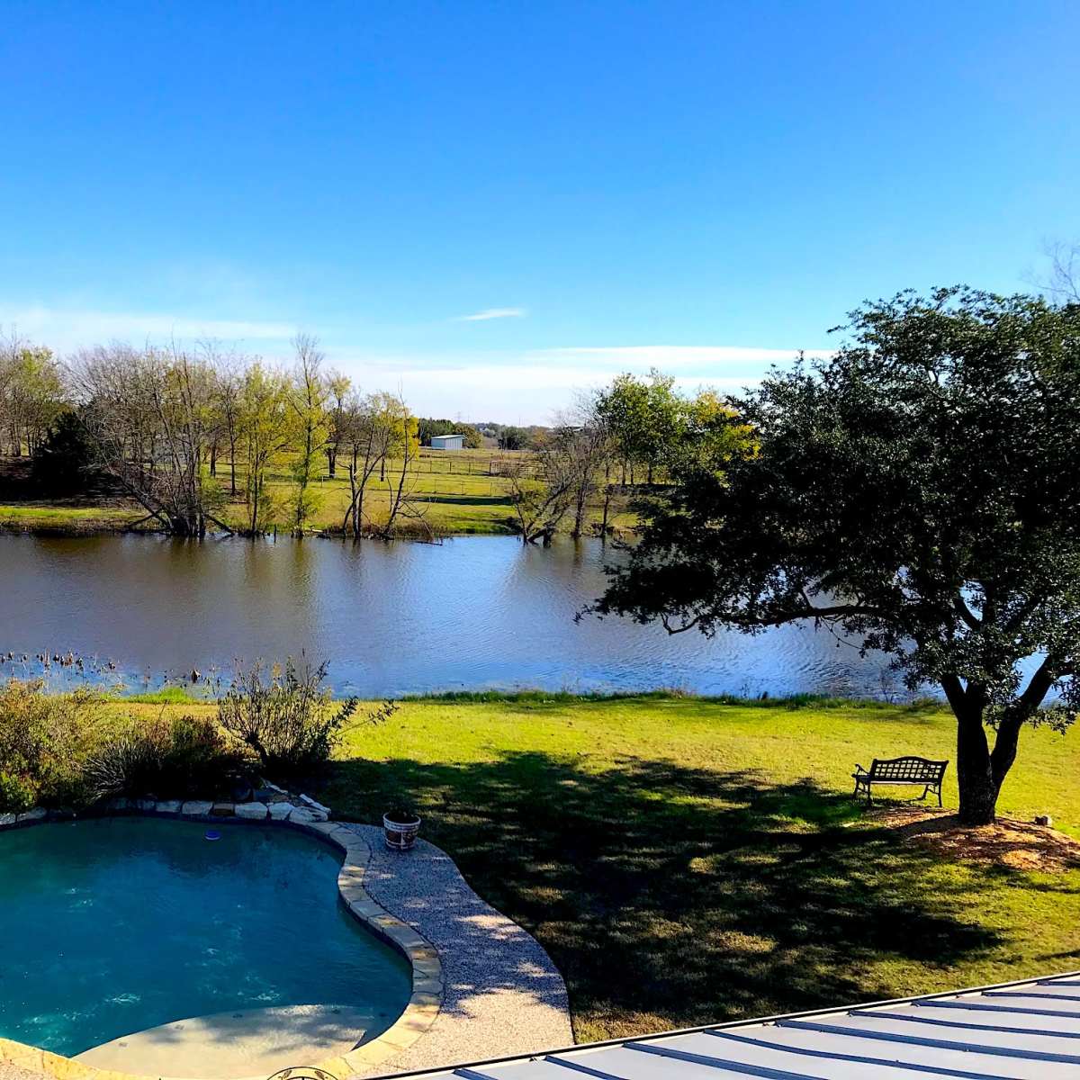 A backyard view features a swimming pool adjacent to a calm pond surrounded by trees and grassy areas.
