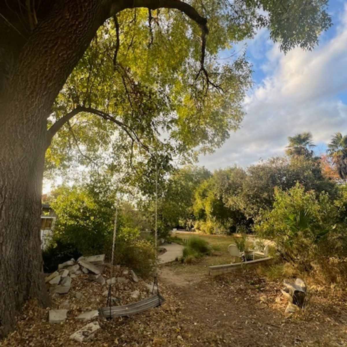 Cool San Fernando Mid Century w/ park like yard in Northridge Image in Northridge, Northridge, CA