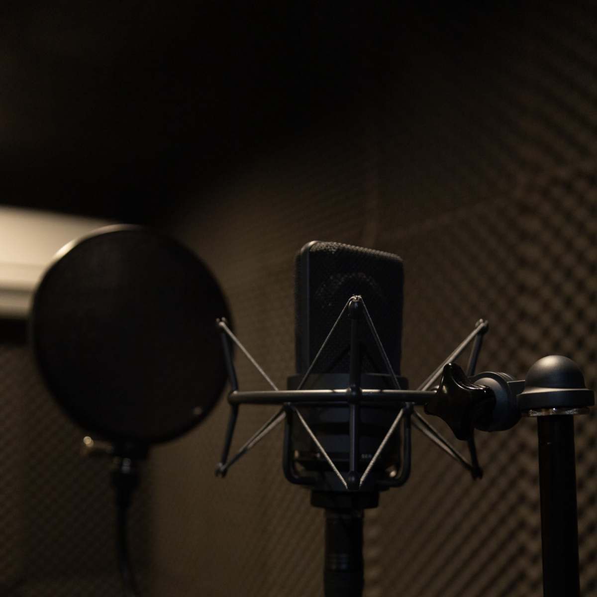 A microphone with a pop filter is positioned in a soundproof recording booth.
