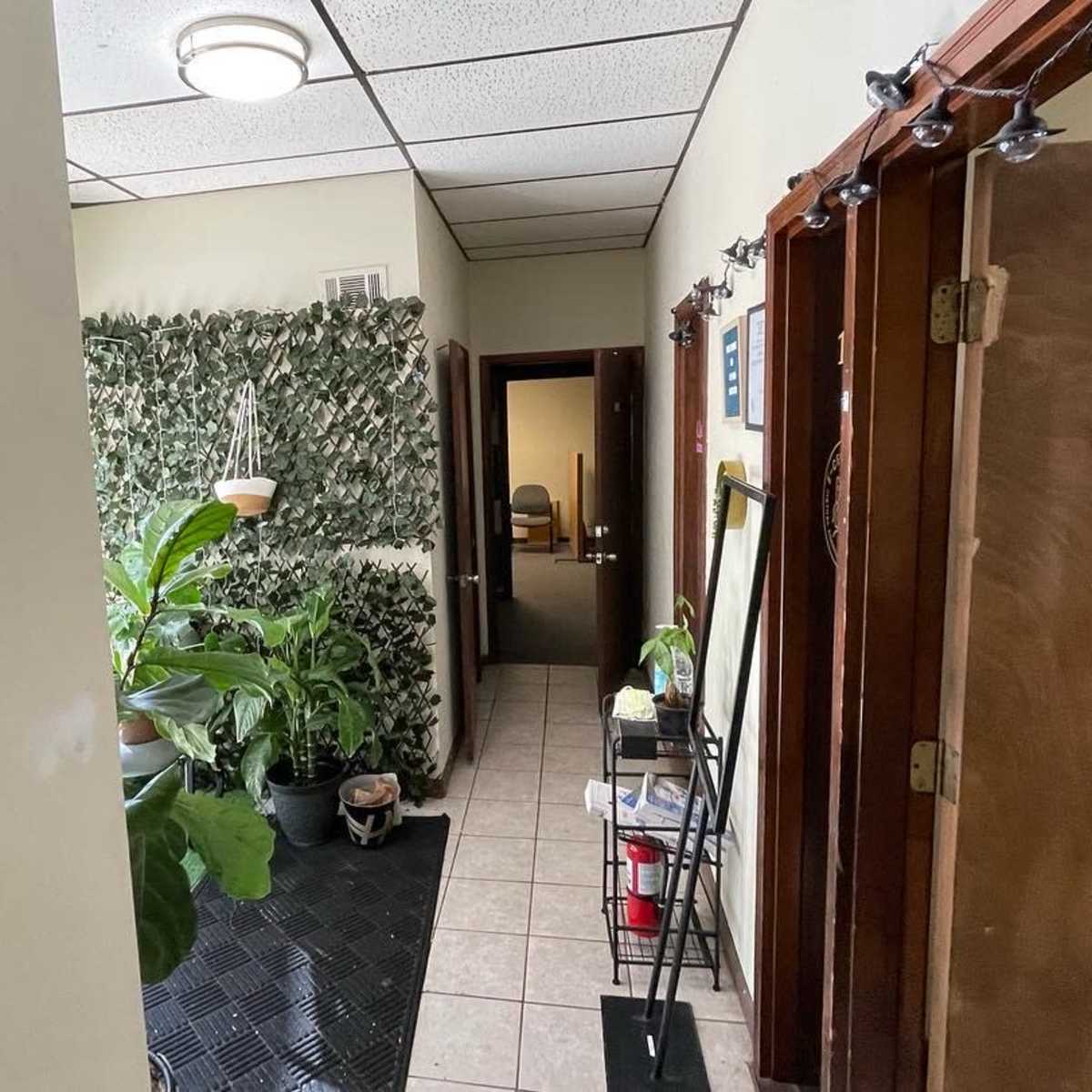 A narrow hallway with green plants along the left wall and a doorway leading to another room at the end.