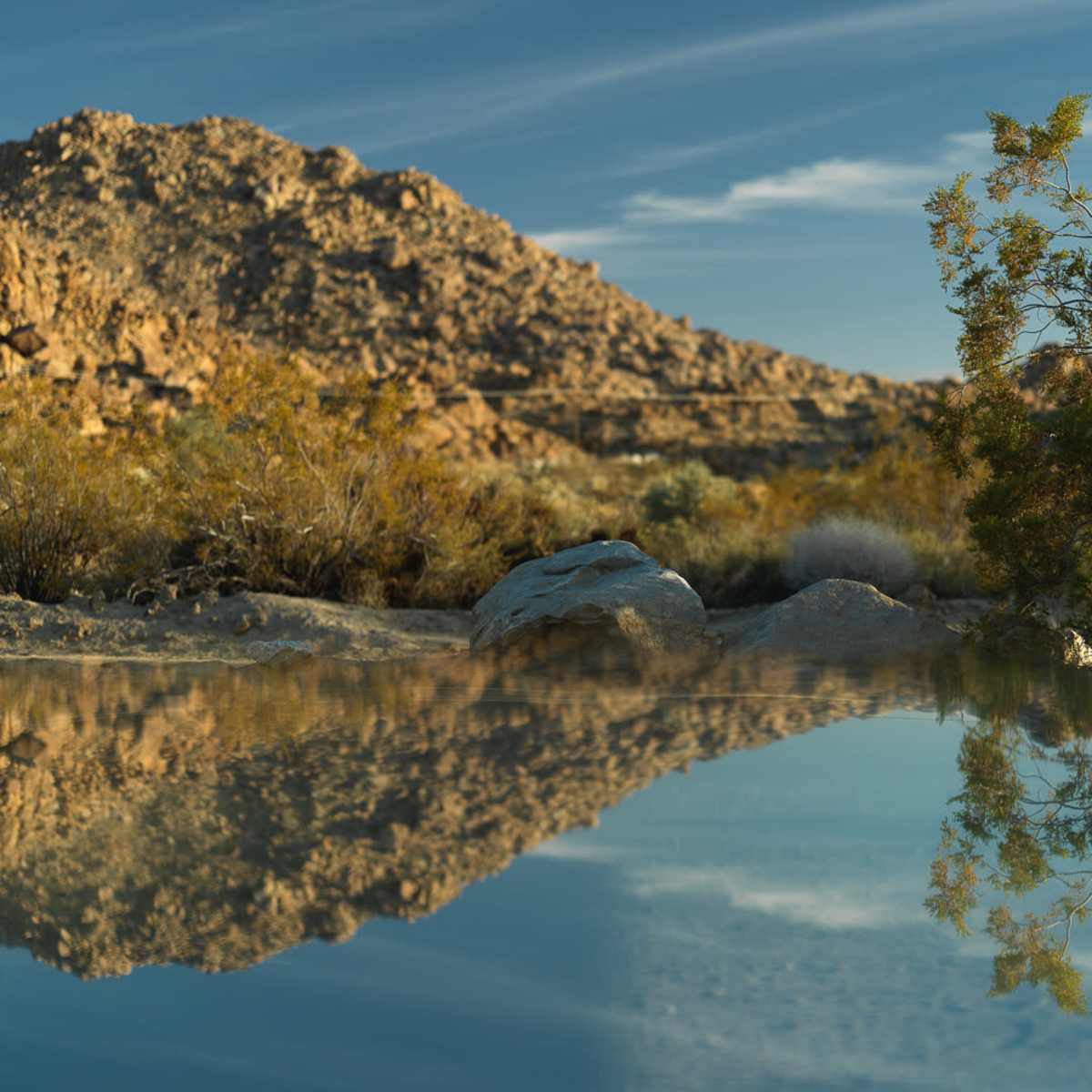 A tranquil desert landscape features a rocky hill in the background, surrounded by brush and a still body of water reflecting the scenery.