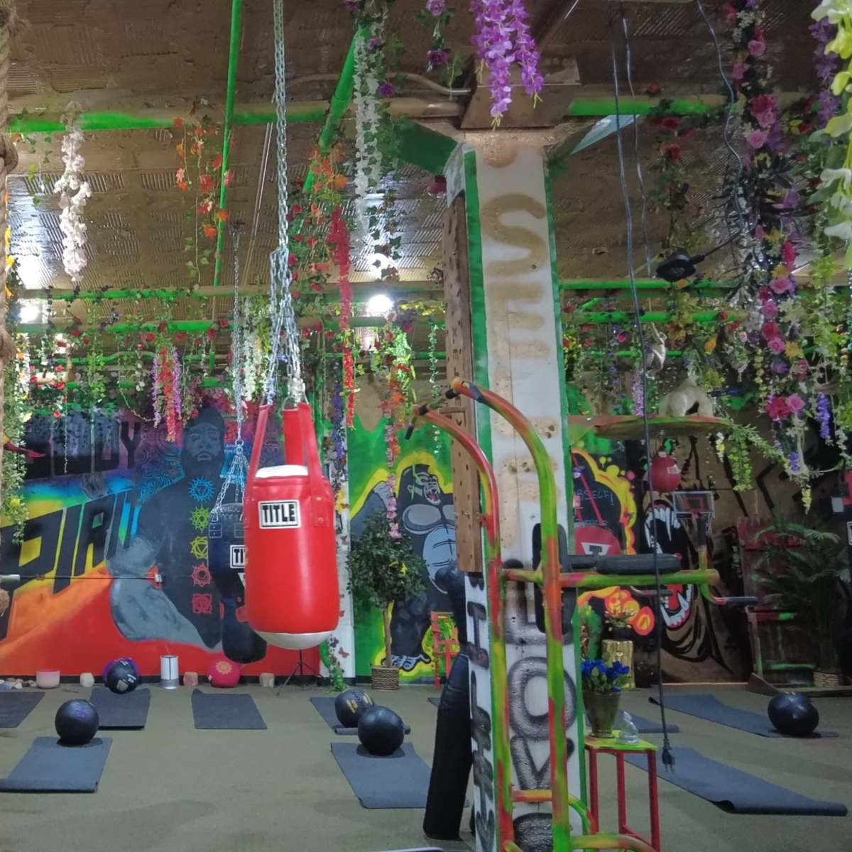 A gym interior decorated with colorful murals and hanging plants, featuring various exercise equipment like a boxing bag, ropes, and gym mats.
