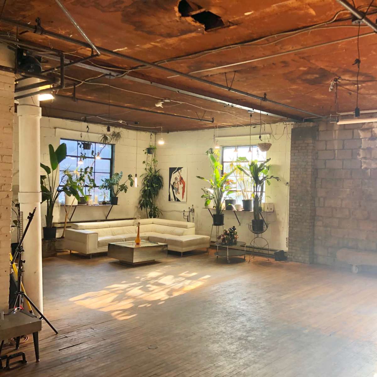 Diverse Multi-Use Studio with Massive Rooftop Downtown in Toronto Image in Downtown Toronto, Toronto, ON
