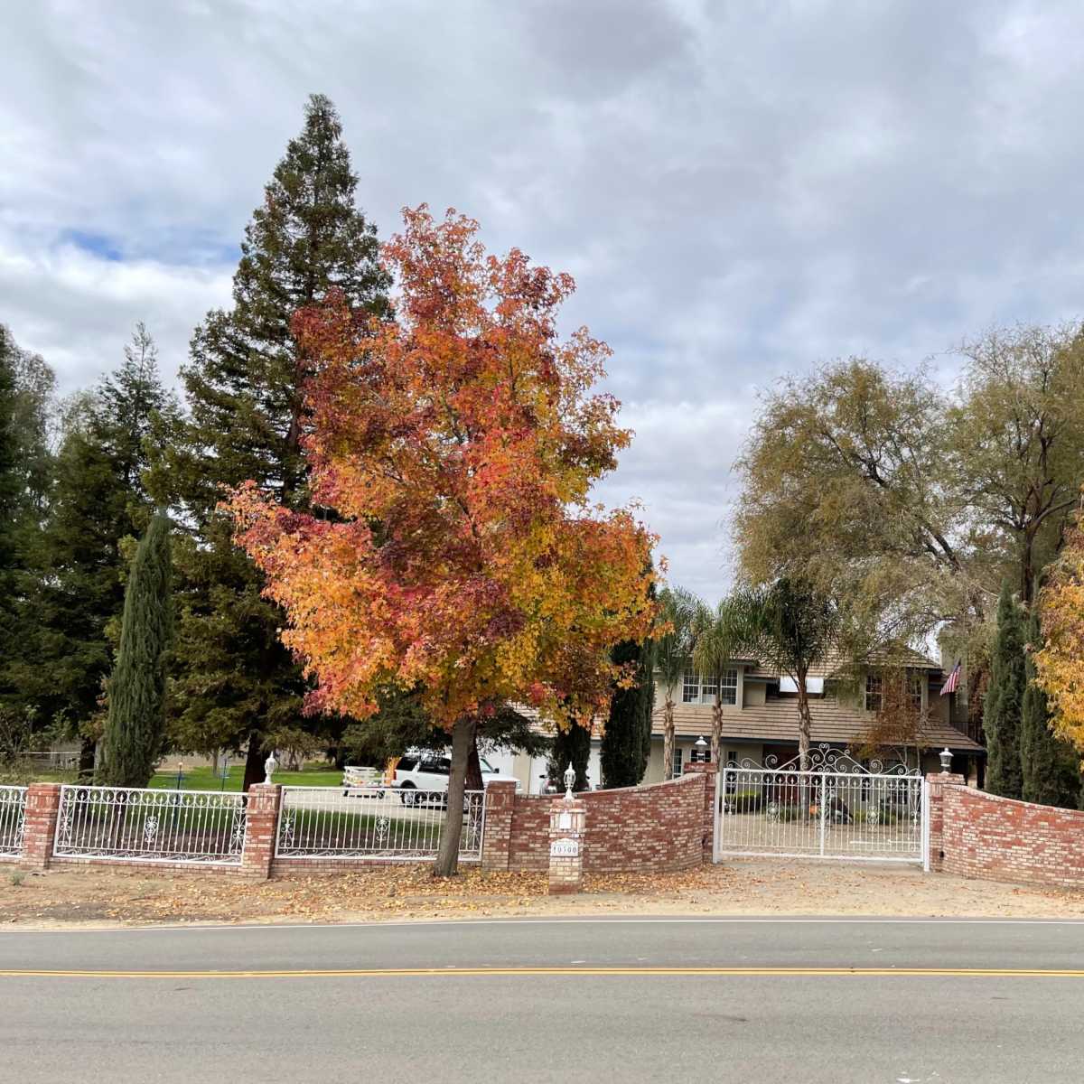 A two-story house with a wooden facade is set behind a brick fence and surrounded by trees displaying autumn foliage.