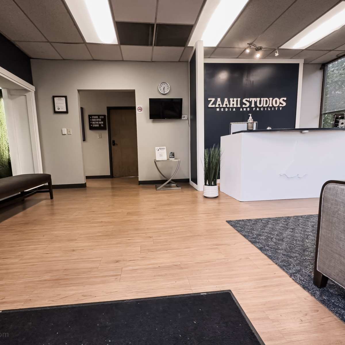 The interior of Zaahi Studios features a reception area with a front desk, seating, and green wall decor.