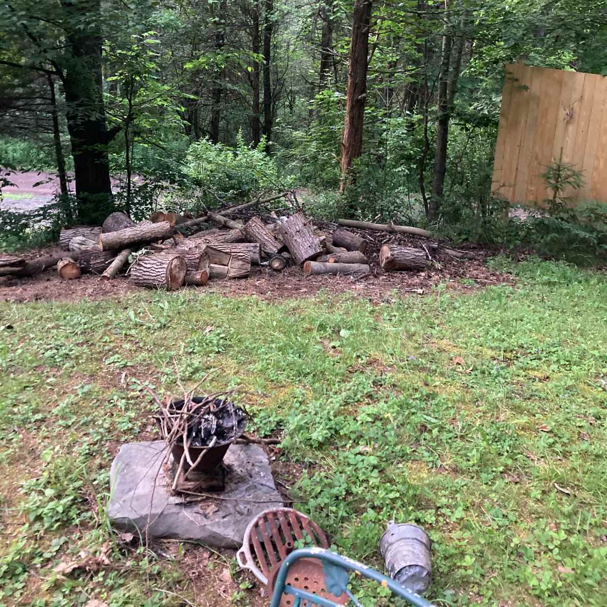 A pile of cut logs is stacked beside a fire pit in a wooded area with a clear view of trees and a path in the background.