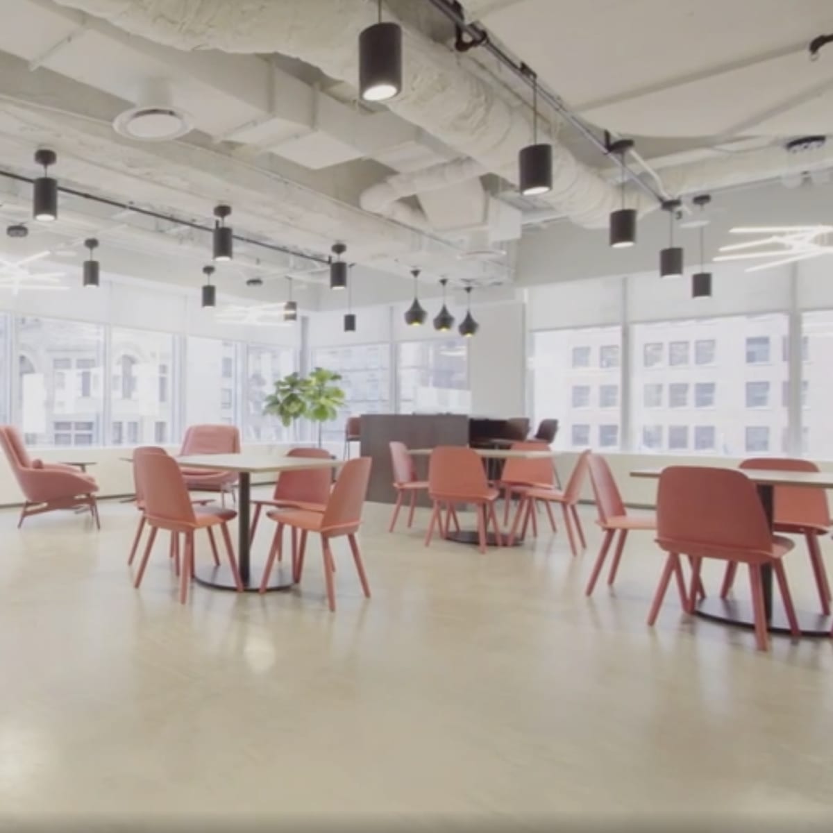 A modern office space with large windows, featuring a mix of seating arrangements, including chairs and tables, and decorative elements.