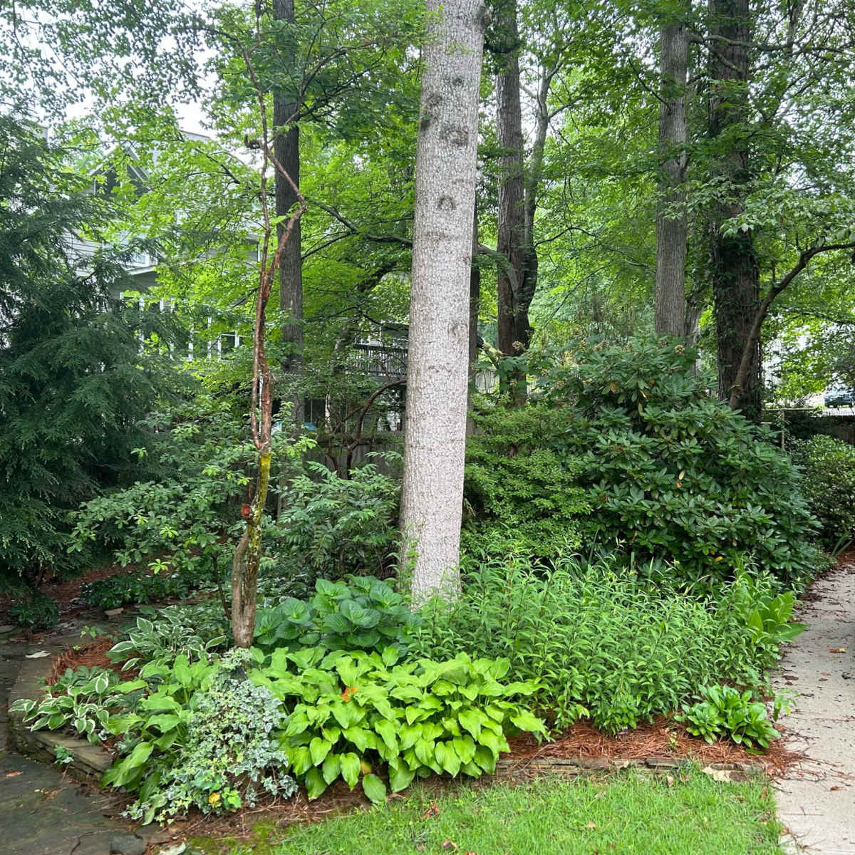 A lush garden scene with a stone path winding through greenery and trees.