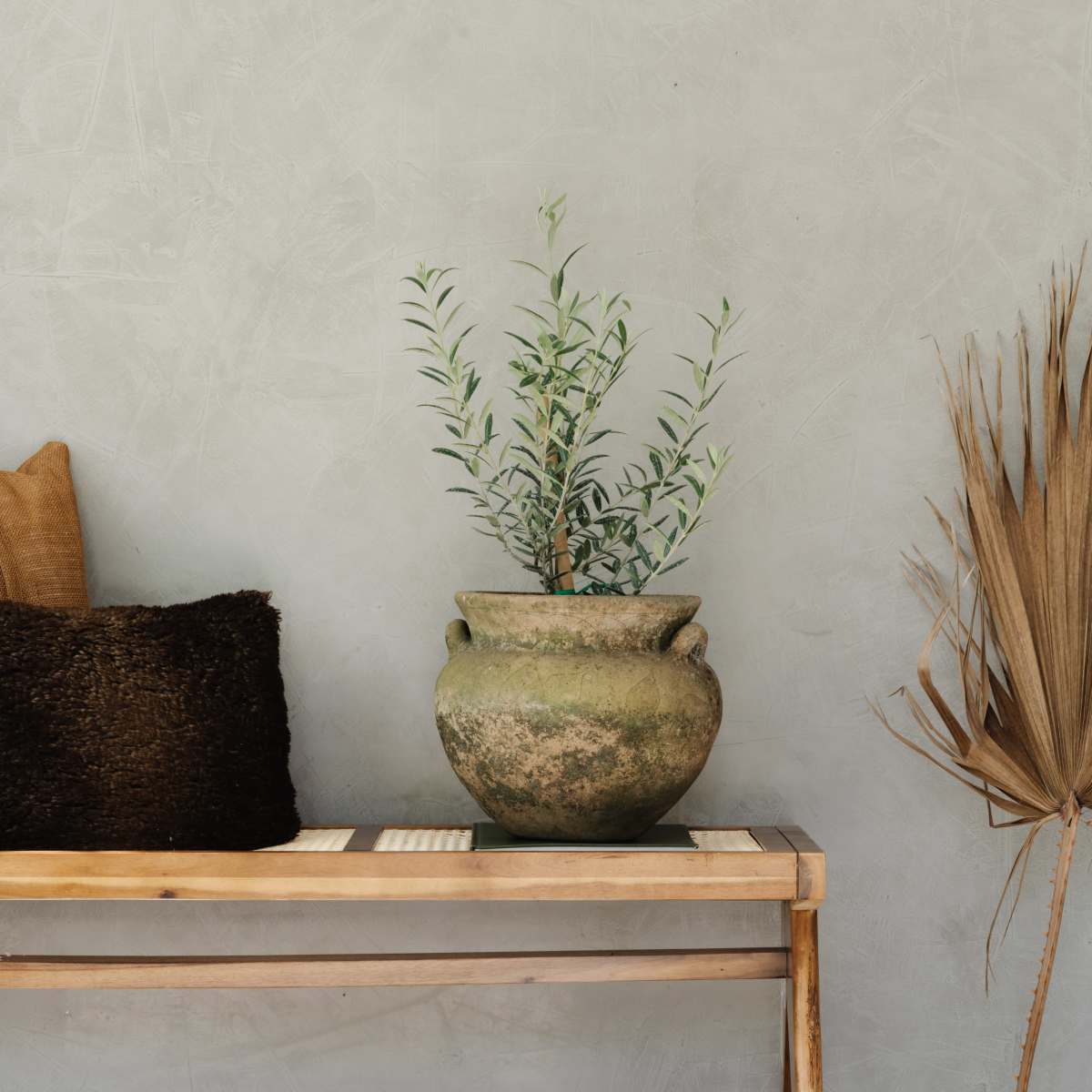 A wooden bench with a decorative vase and greenery is positioned against a textured gray wall.
