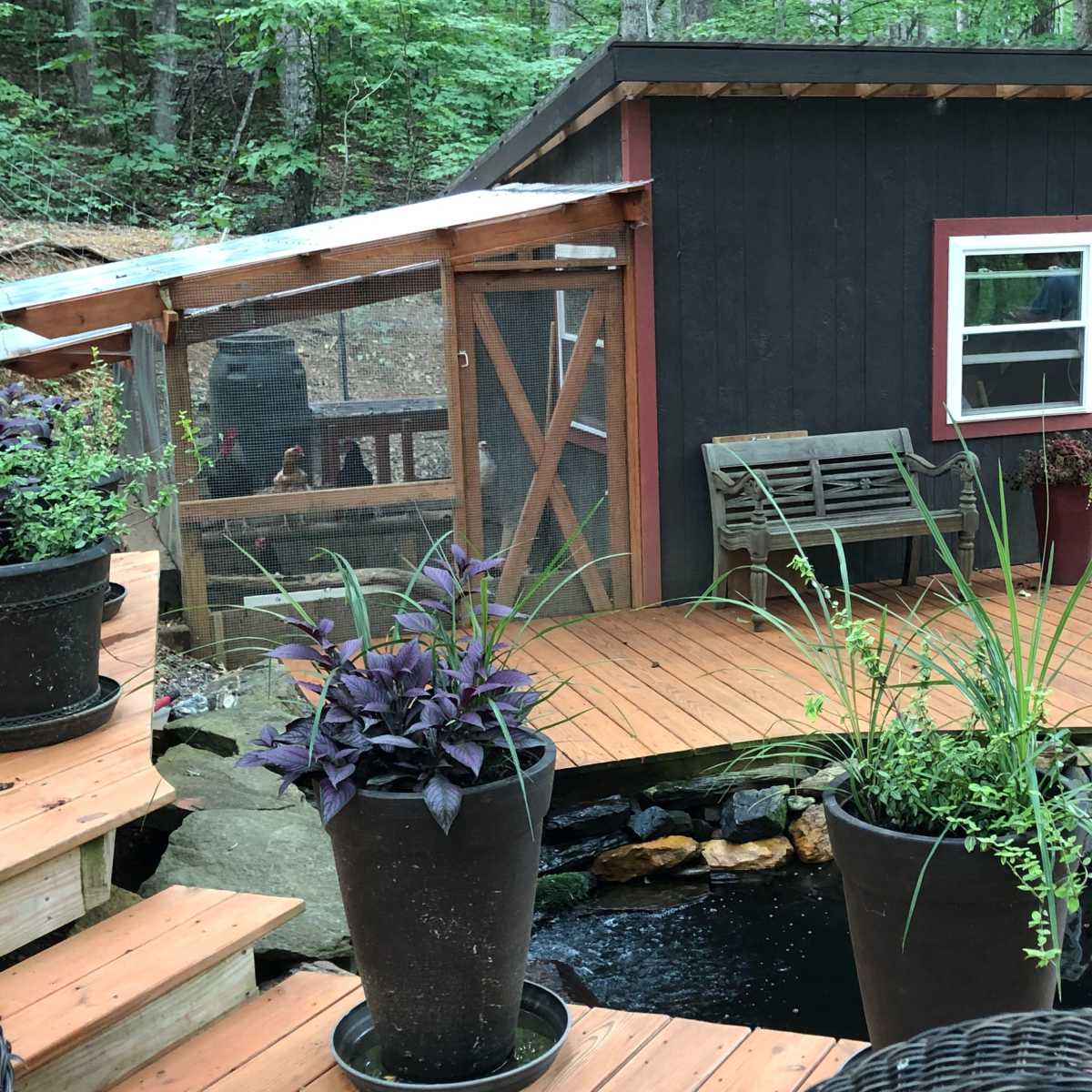 A small black shed with a red door and a screened porch sits on a wooden deck bordered by large potted plants and a pond.
