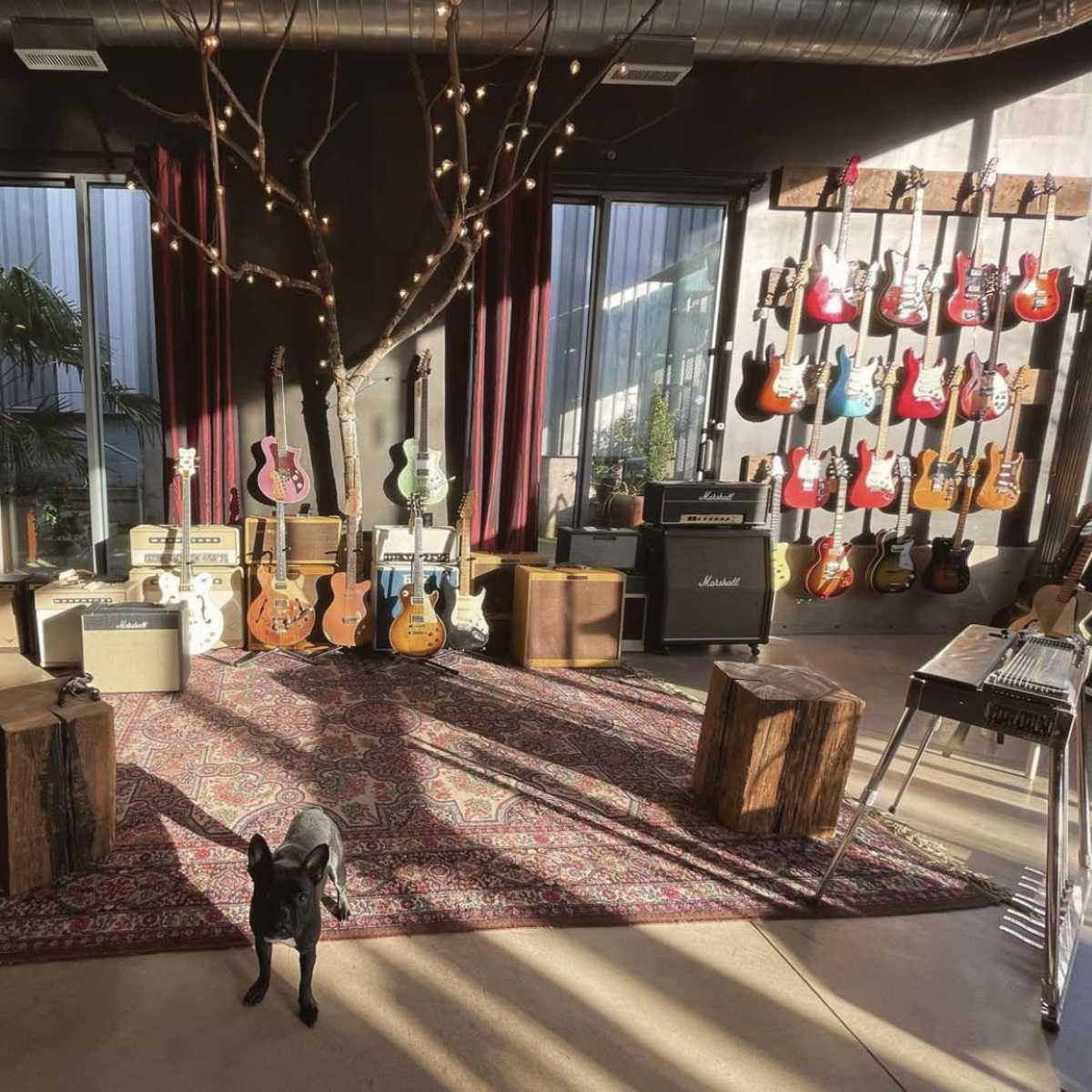 A music studio features a variety of guitars displayed on the wall, a collection of amplifiers on the floor, wooden stools, and a black dog on a patterned rug.