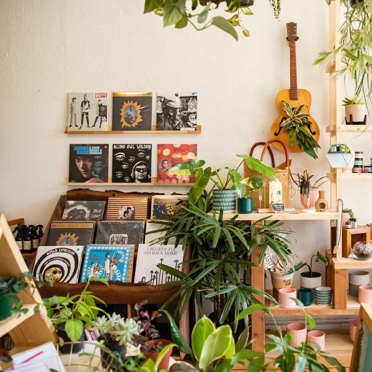 A cozy store interior filled with plants, vinyl records displayed on wooden shelves, and various home decor items arranged on tables.