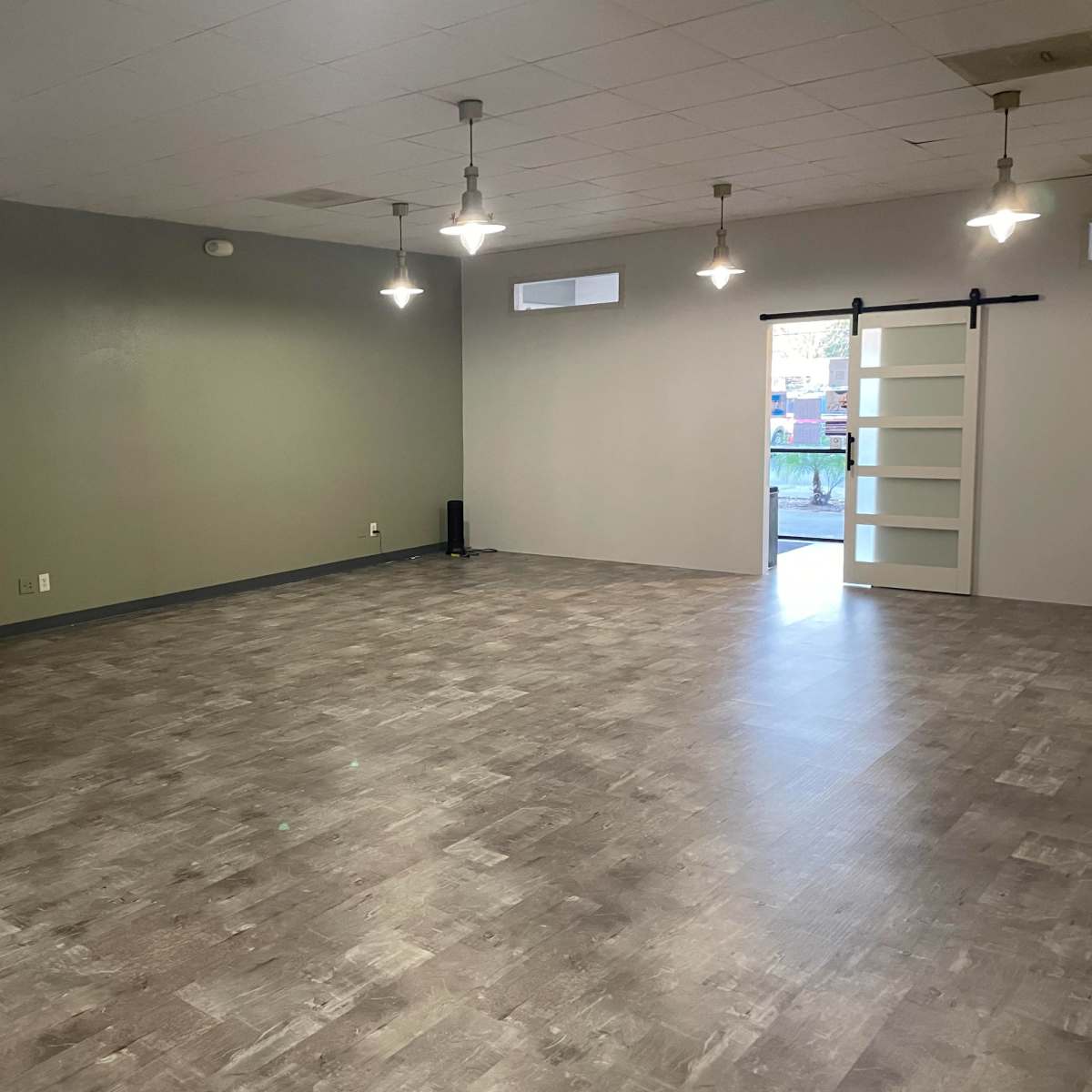 Modern Zen Space with Open Layout and Soothing Atmosphere in Brandon Image in Limona Improvement, Brandon, FL