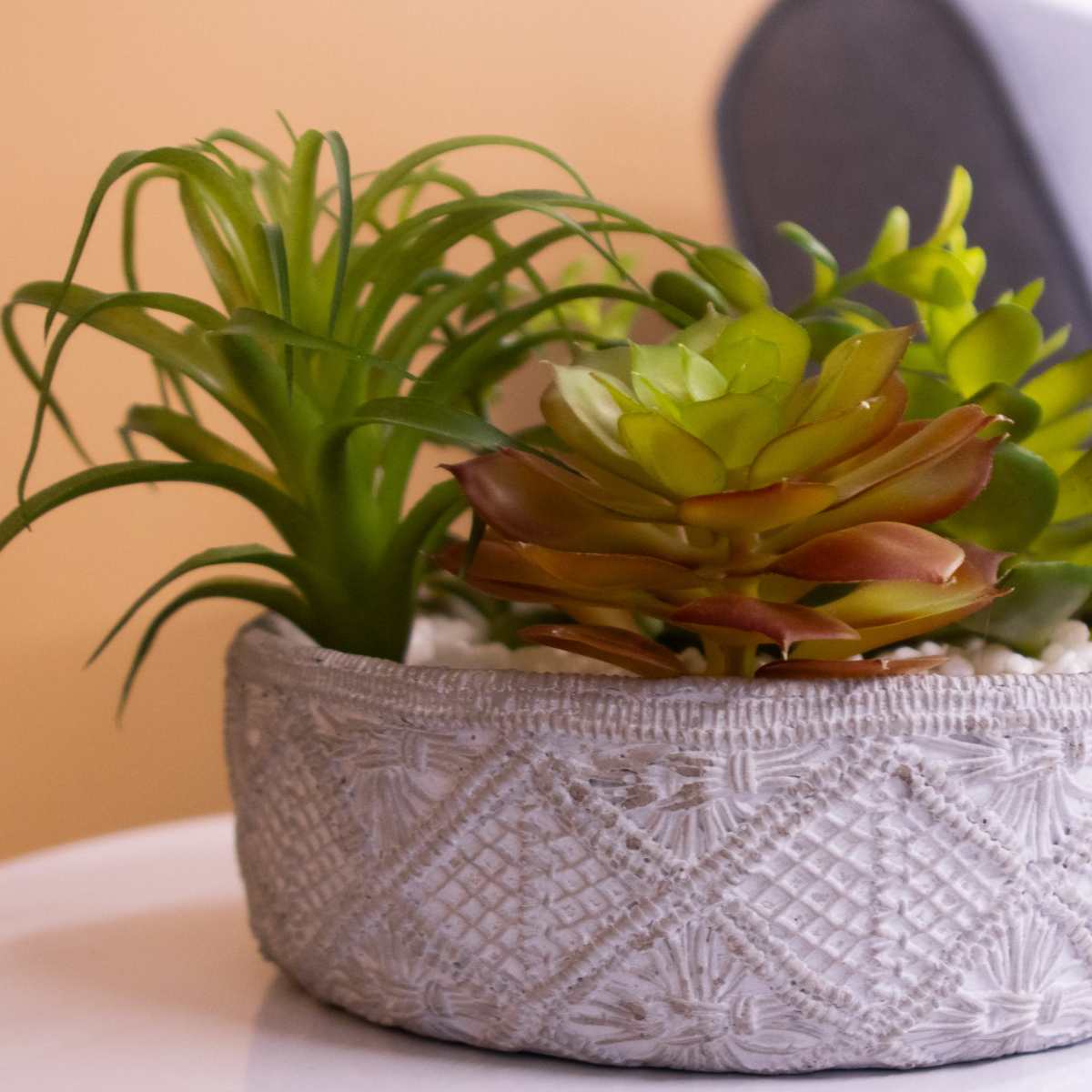 A potted succulent arrangement sits on a table next to a grey upholstered chair in a softly lit room.
