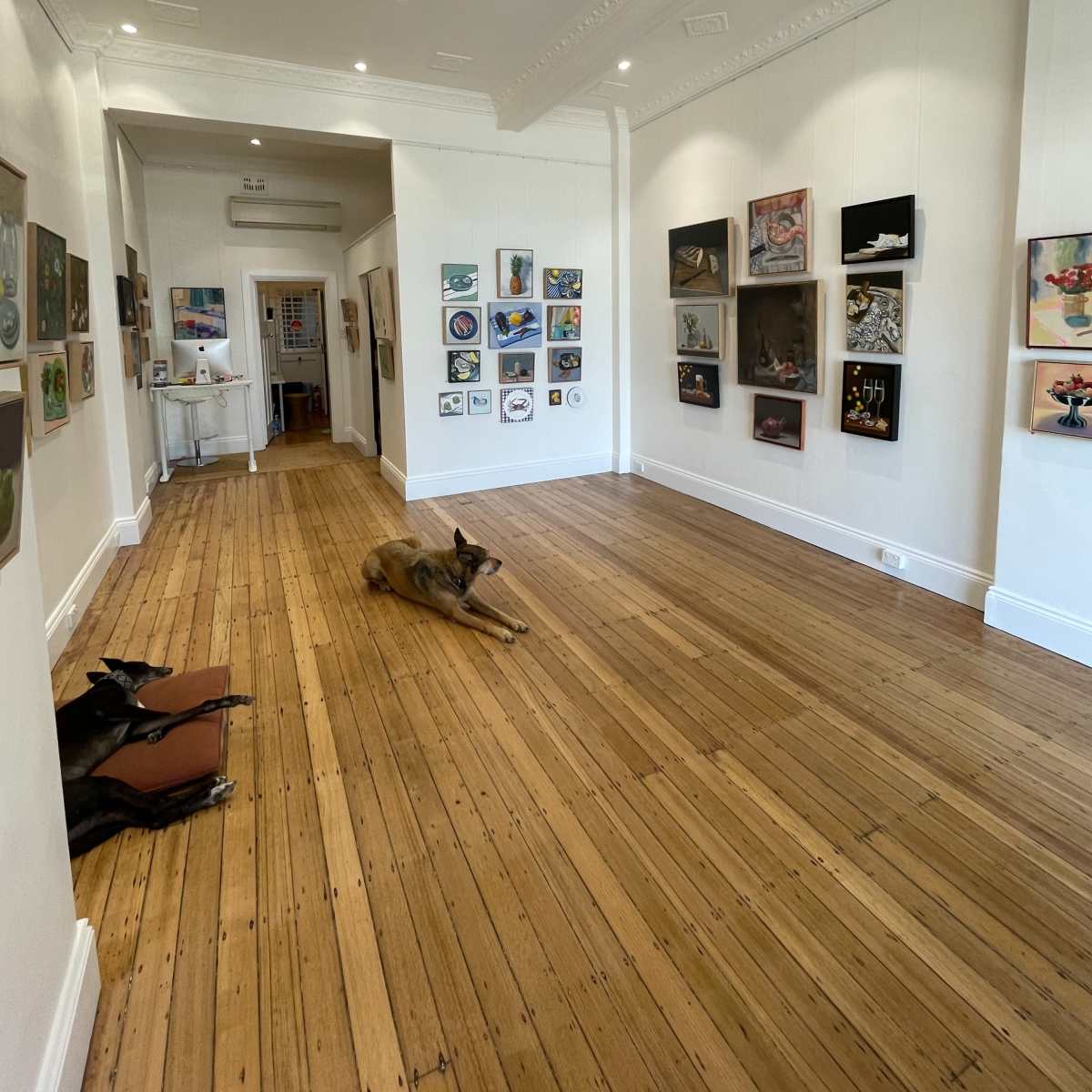Exclusive Woollahra Gallery Space in Woollahra Image in Woollahra, Woollahra, NSW