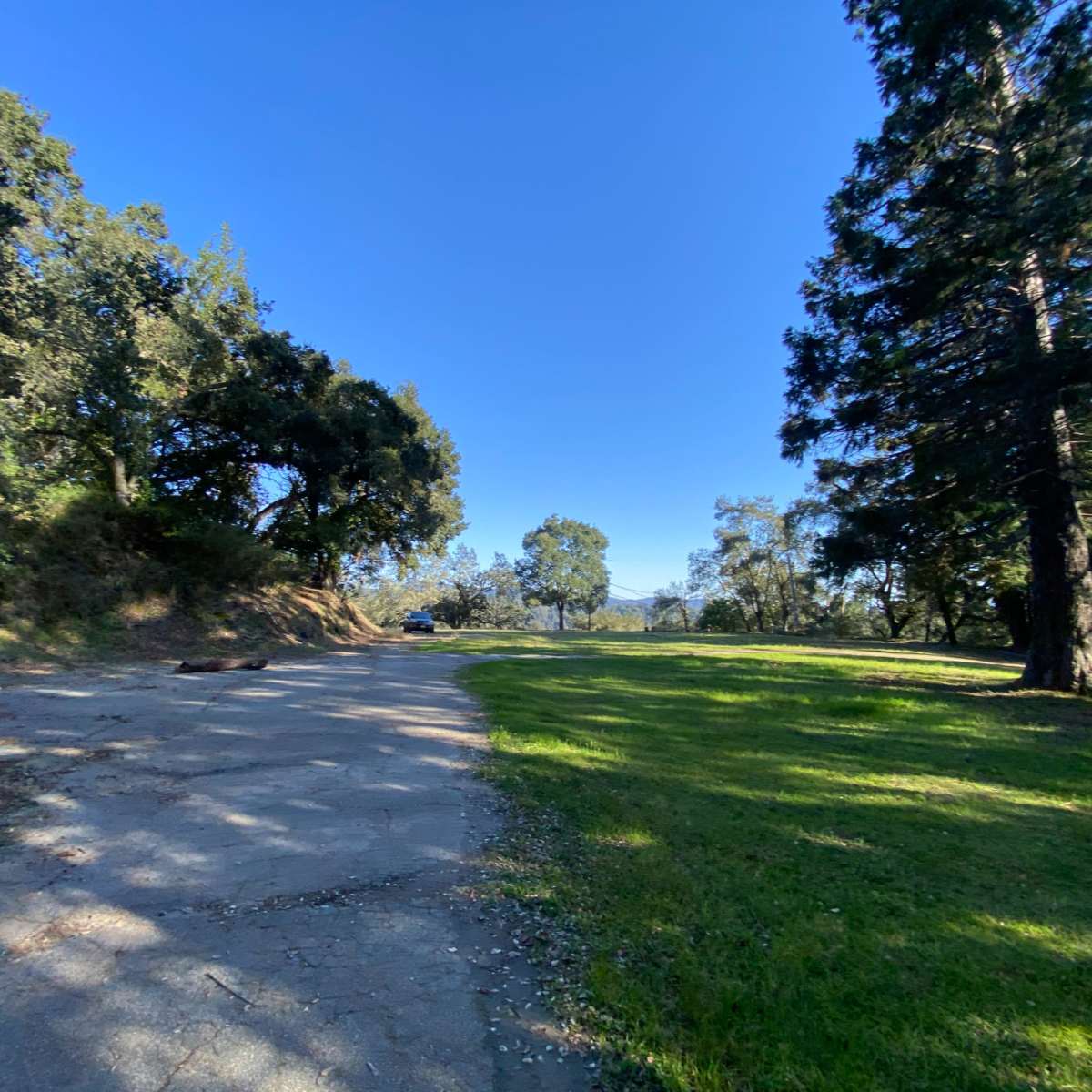 A wide, unpaved path leading through a grassy area surrounded by trees under a clear blue sky.