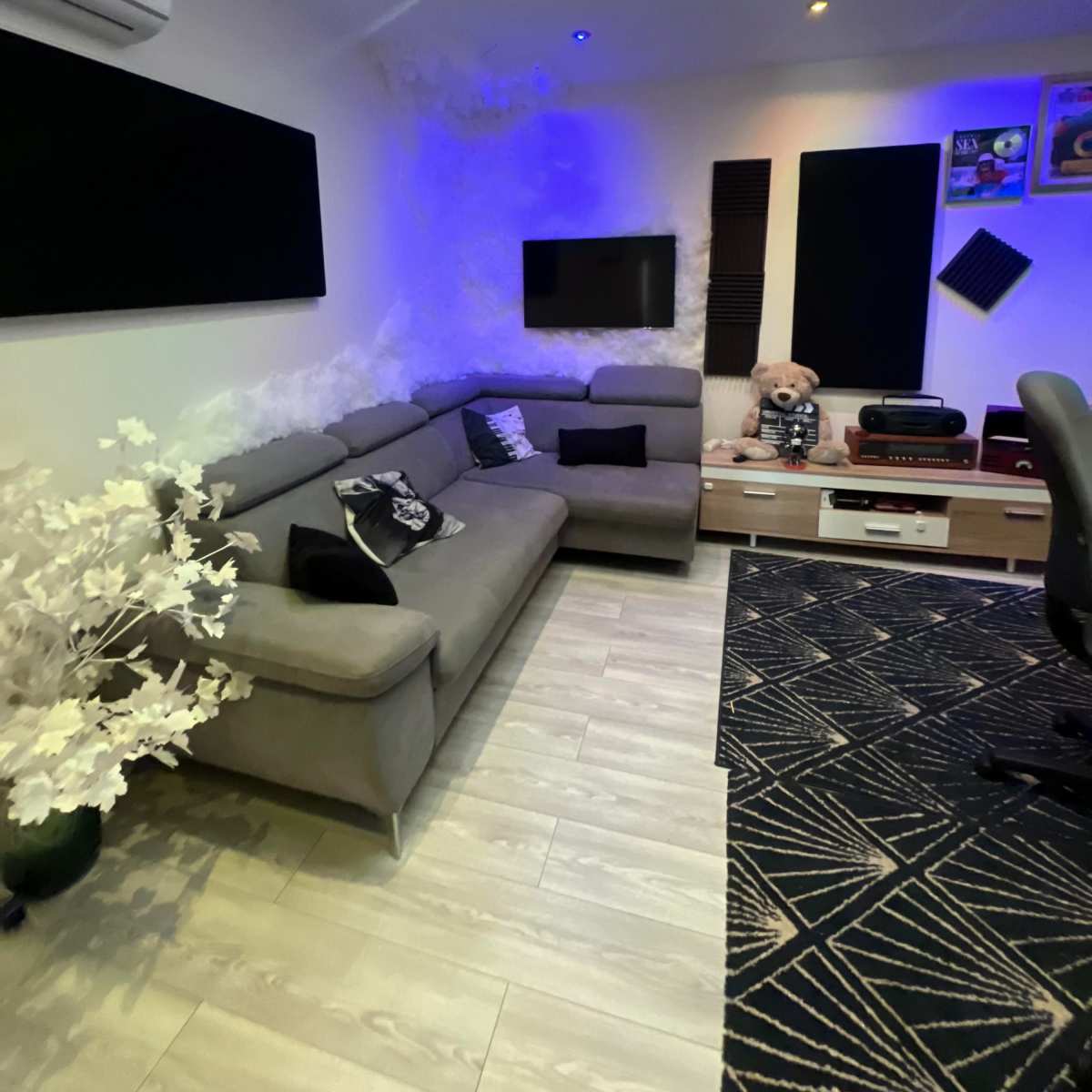 A modern living room with a gray sectional sofa, wall-mounted televisions, and a decorative plant, all set against a patterned rug and illuminated by soft lighting.