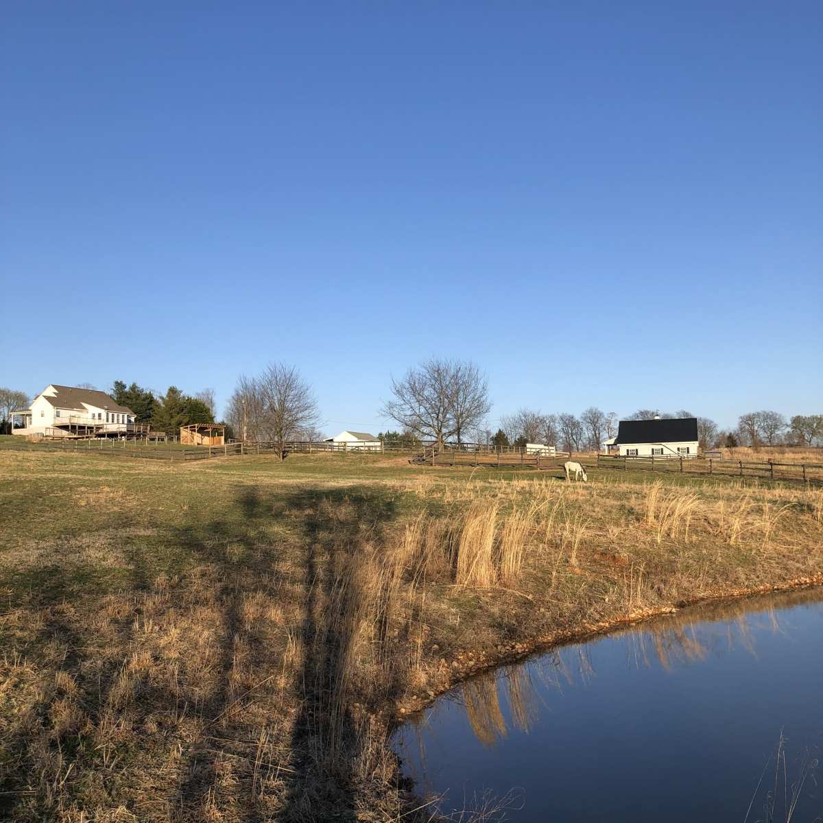 A rural landscape with a pond in the foreground, surrounded by open fields, trees, and several farm buildings under a clear blue sky.