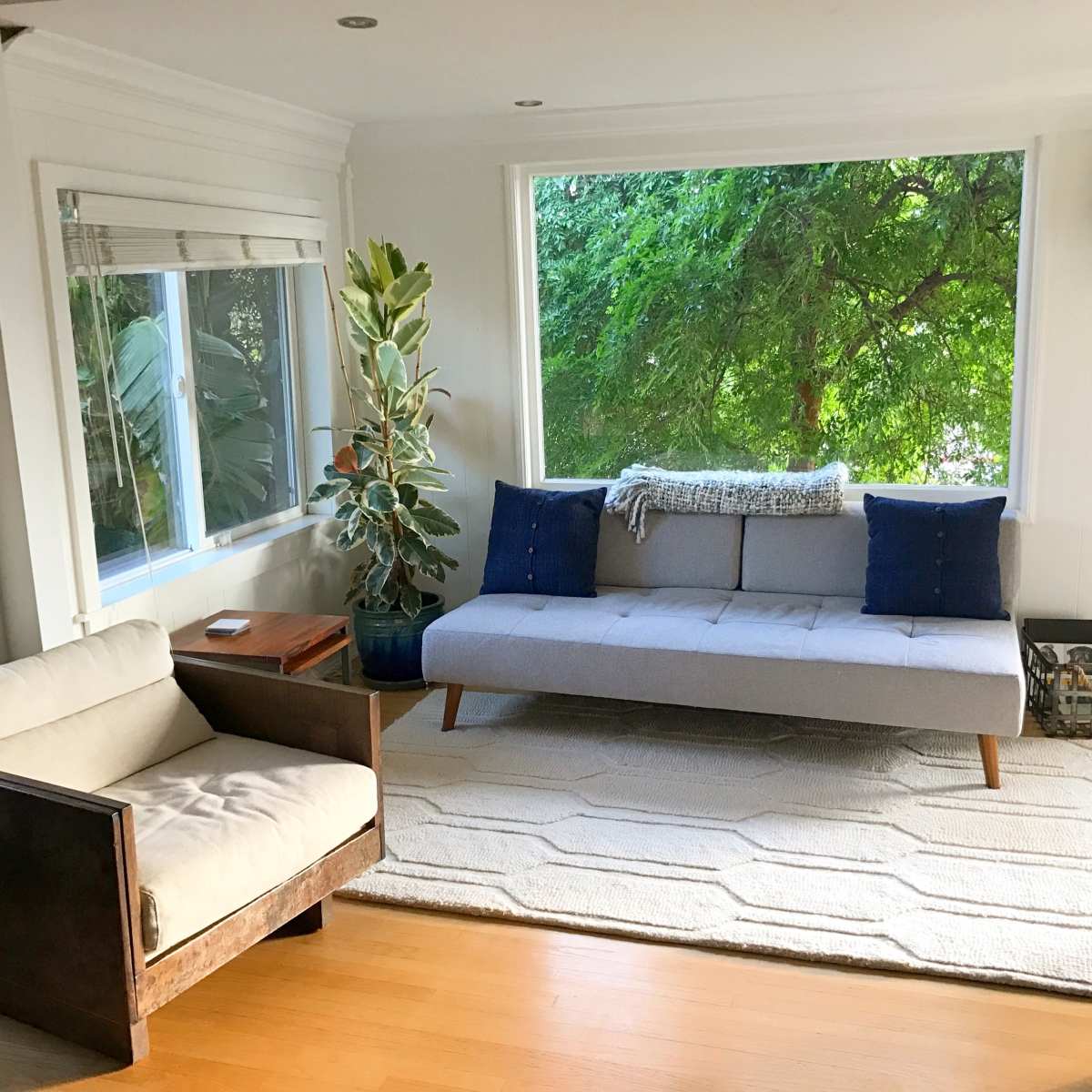 A modern living room features a gray sofa, a wooden chair, a large window with greenery outside, and a light rug on the floor.