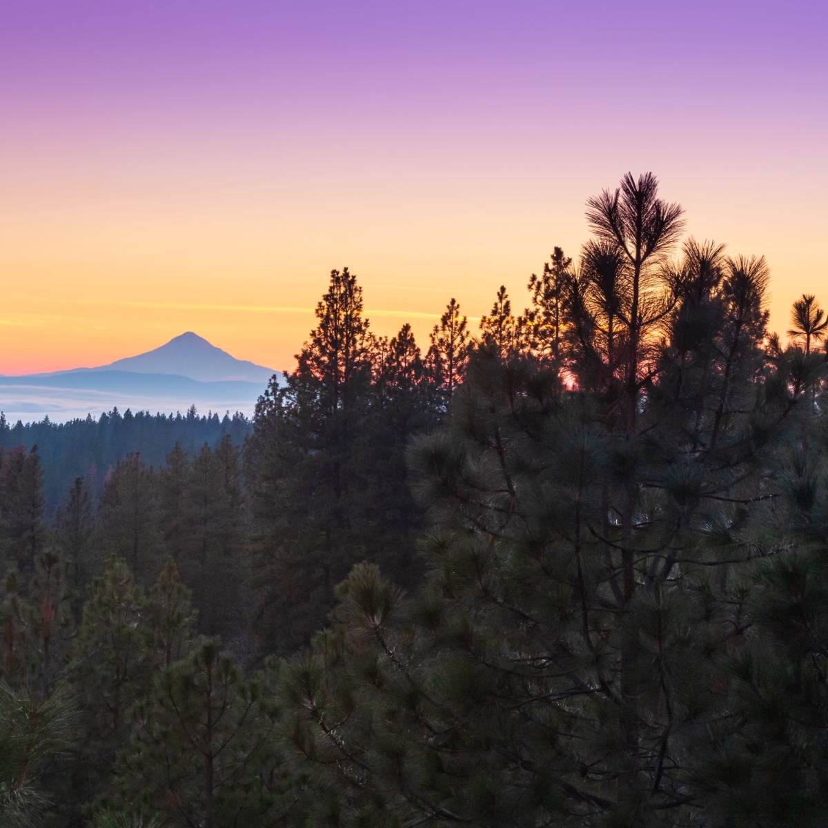 A mountain rises above a dense forest at sunrise, surrounded by a colorful sky.