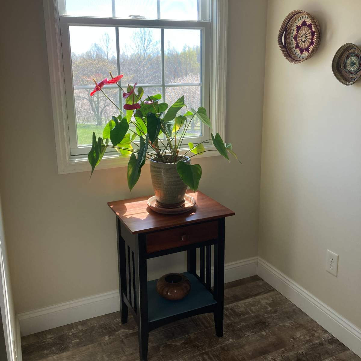 A potted plant with red flowers is placed on a wooden table in a well-lit corner near a window.
