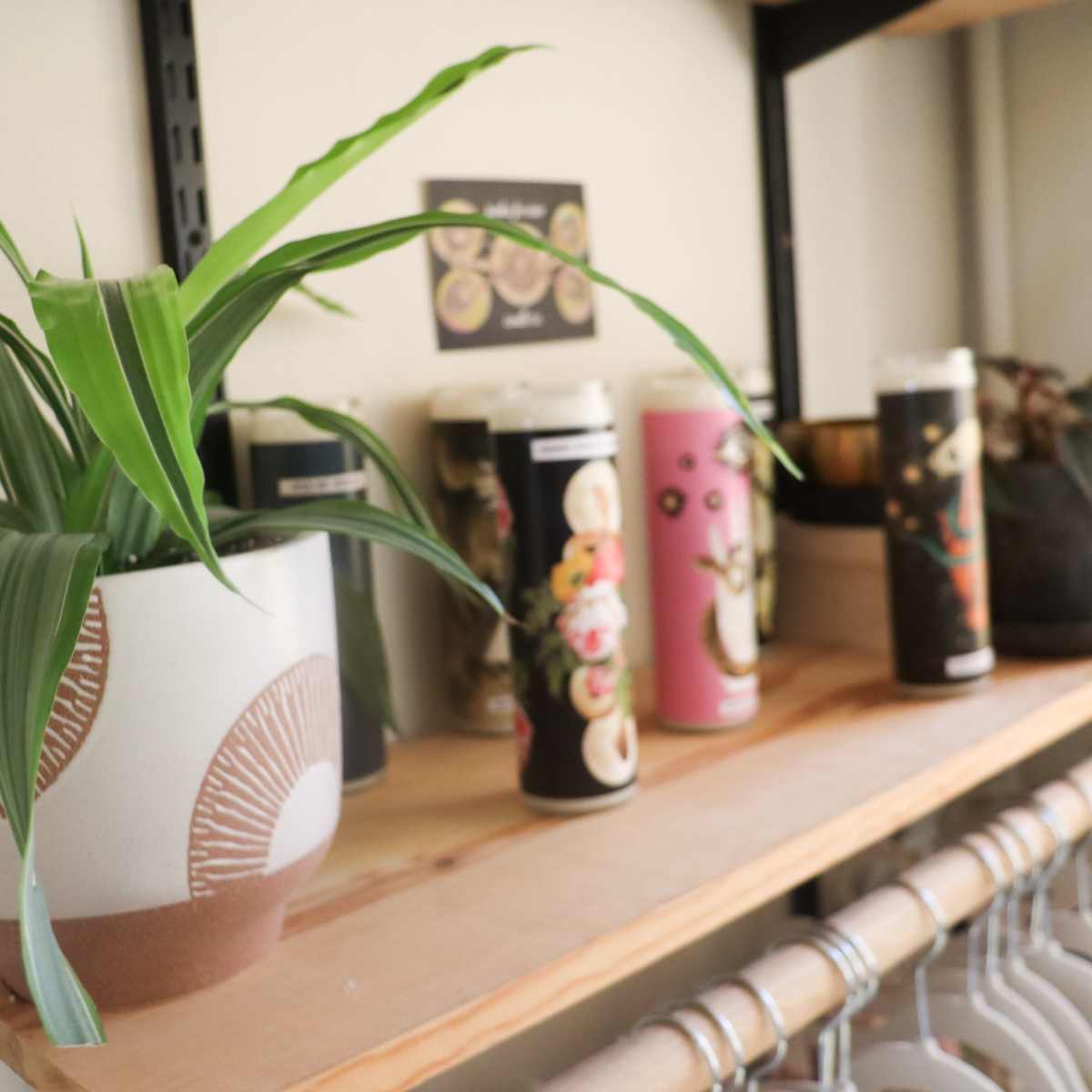 A shelf displays a potted plant beside several colorful cylindrical containers and a small pot in a shop setting.