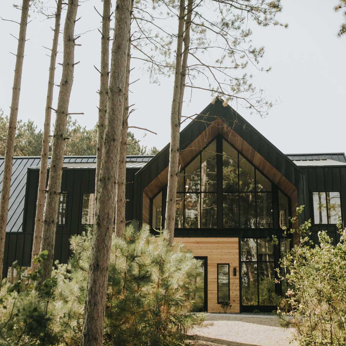 A modern black timber house with large glass windows is surrounded by tall trees and greenery.