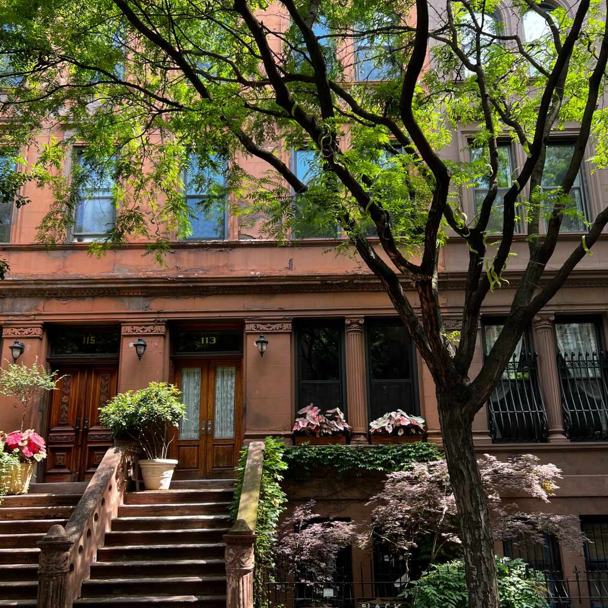 A row of brownstone buildings with green foliage, a staircase leading to the entrances, and a sign in front that reads "BLACK LIVES MATTER."
